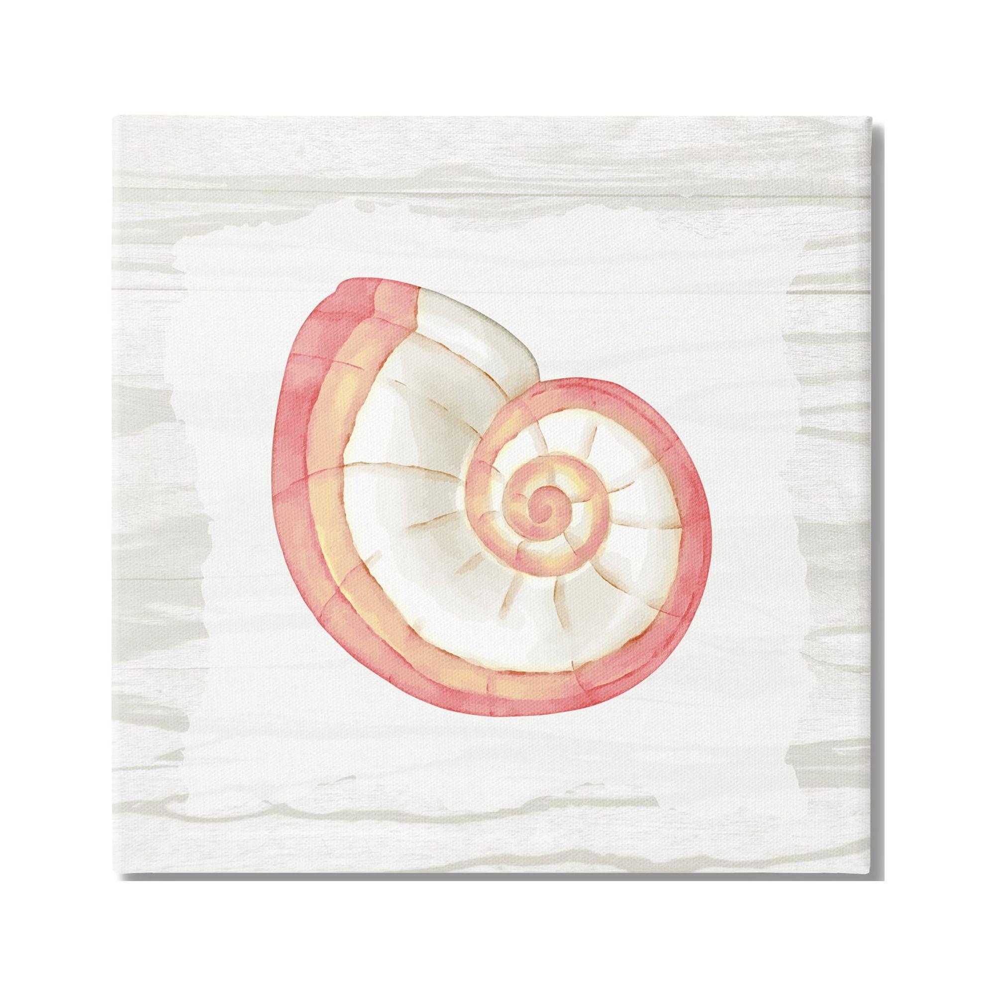 Stupell Industries " Patterned Nautilus Shell " by Anne Bailey