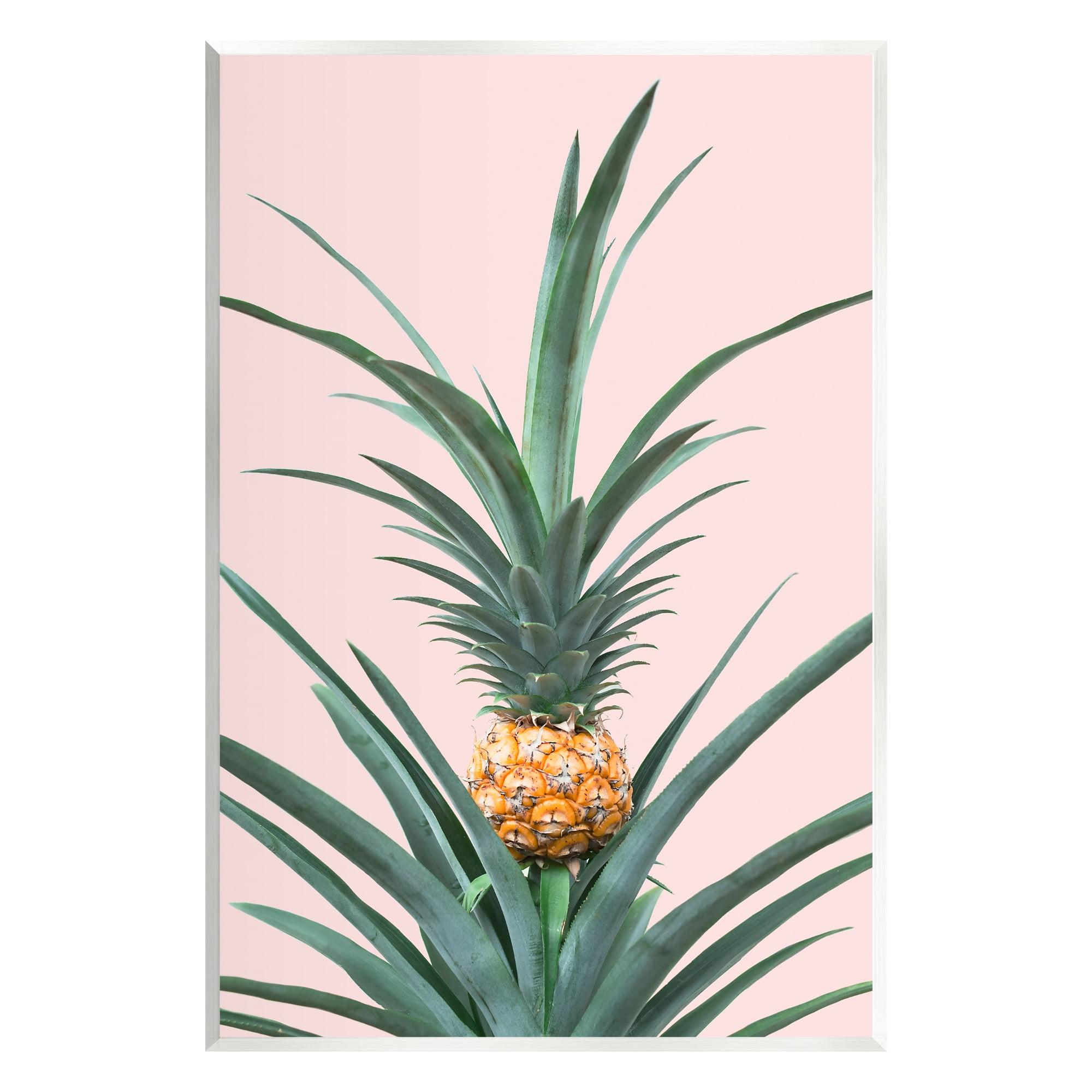 Stupell Industries " Pineapple Plant On Pink " by Sisi And Seb