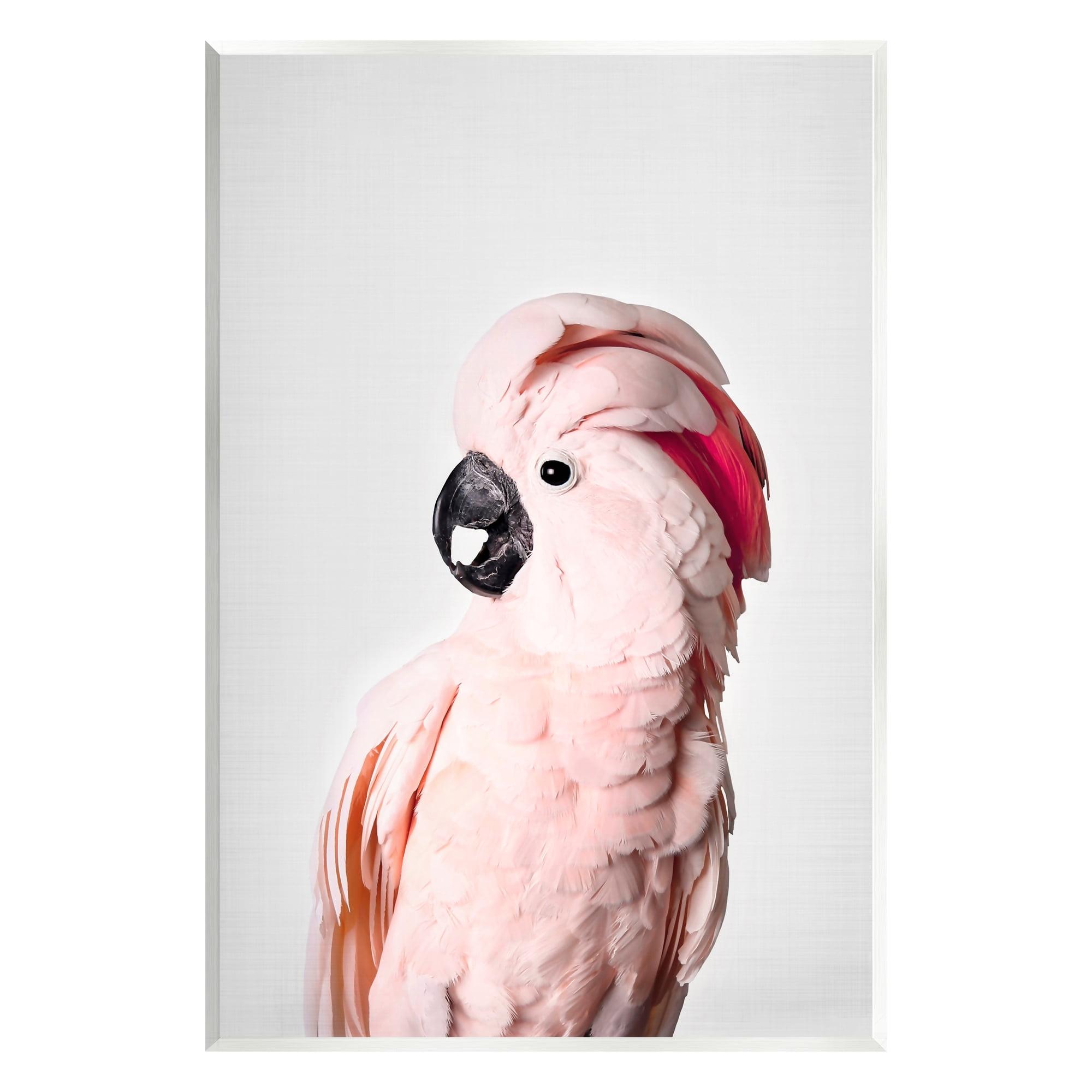 Stupell Industries " Pink Cockatoo Photography " by Sisi And Seb