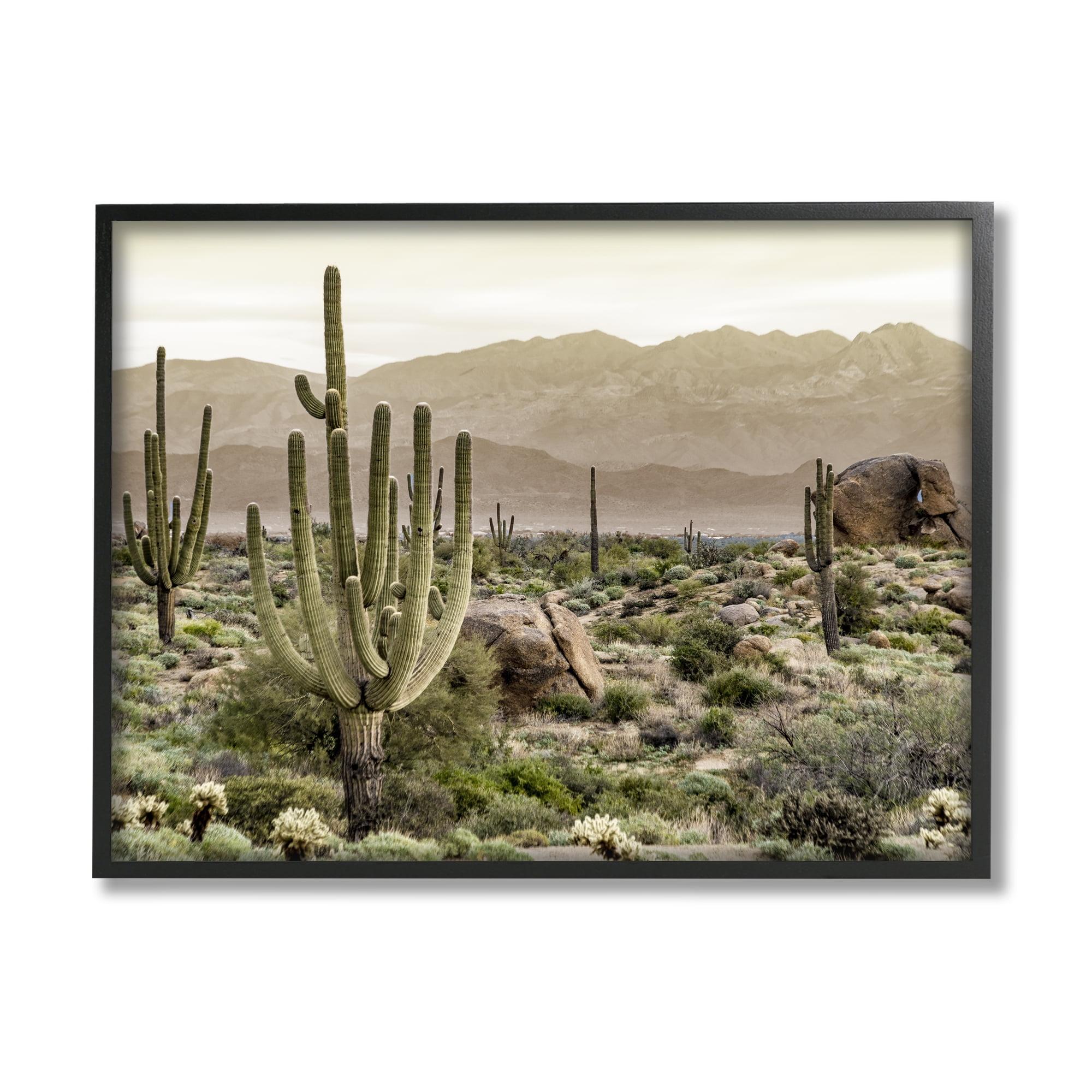 Rocky Desert Landscape Black Framed Giclee Art Print, 14 x 11