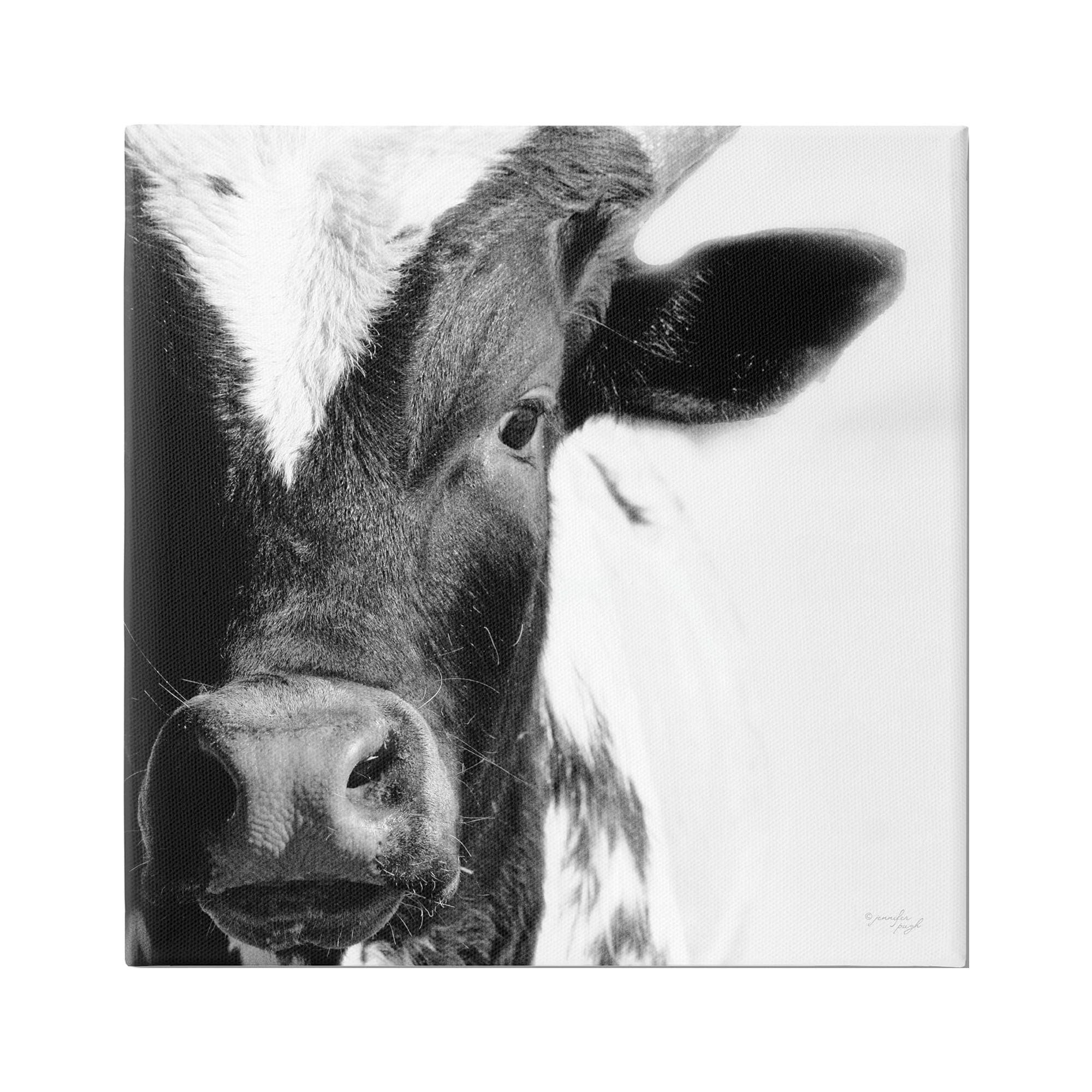 Black and White Rural Farm Cow Canvas Print