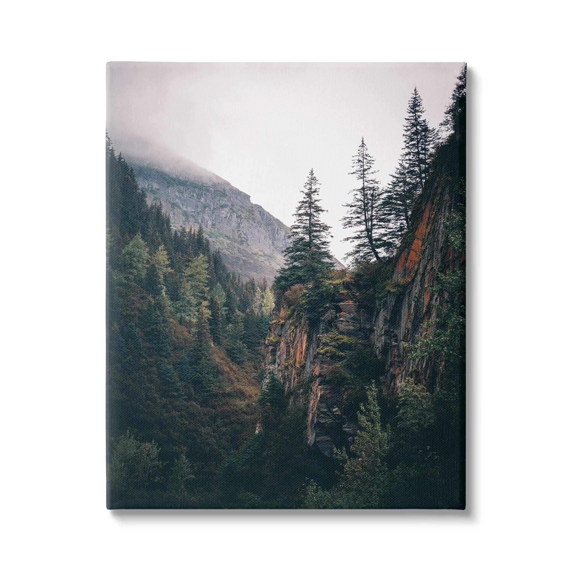 Rustic Mountain Landscape Canvas Print, 24 x 30