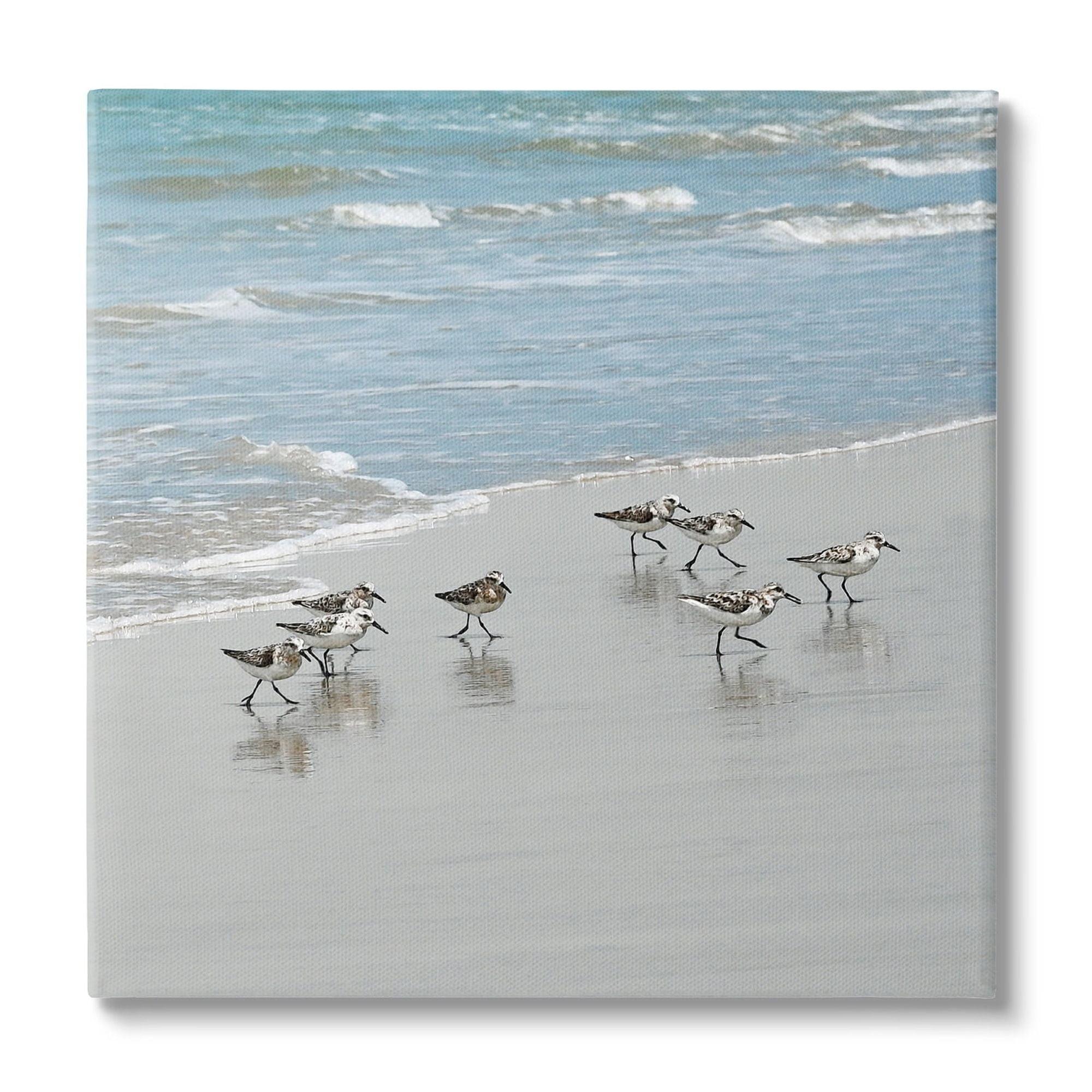 Stupell Industries Sandpipers Flock Sandy Beach Shore Canvas Wall Art