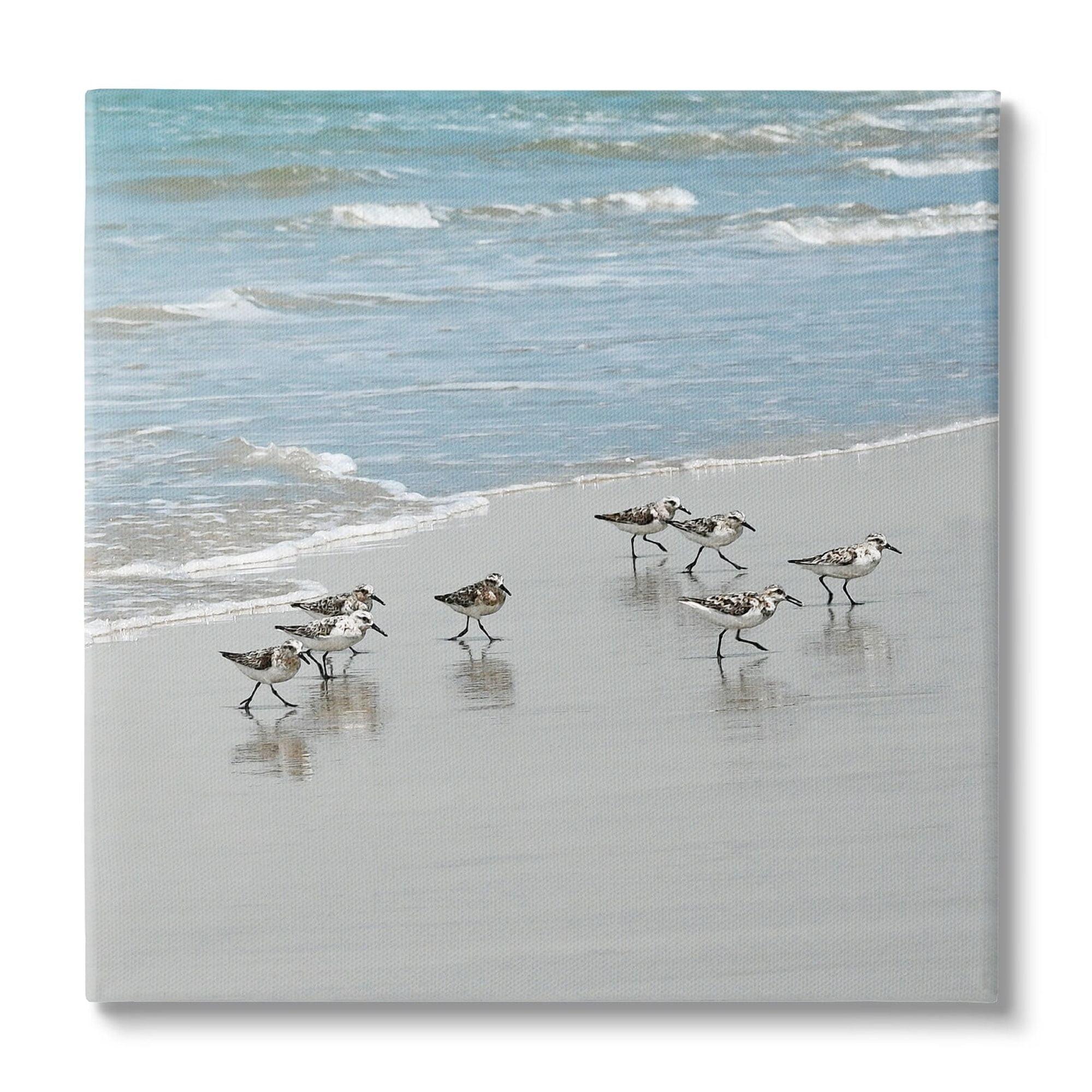 Au-402-Canvas " Sandpipers Flock Sandy Beach Shore " by Natalie Carpentieri Painting Print