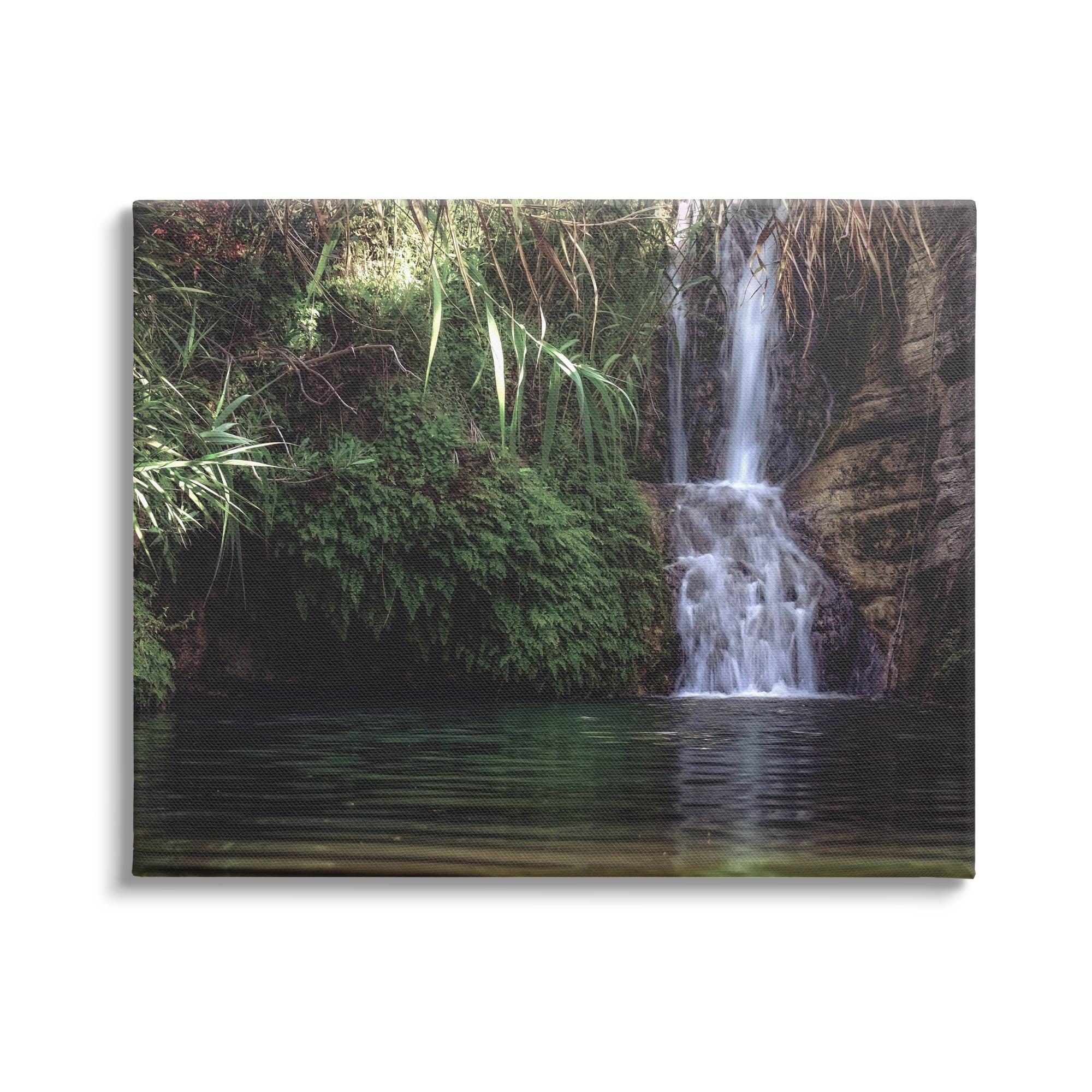 Stupell Industries " Tranquil Waterfall Rainforest Environment Nature Clearing " by Daphne Polselli