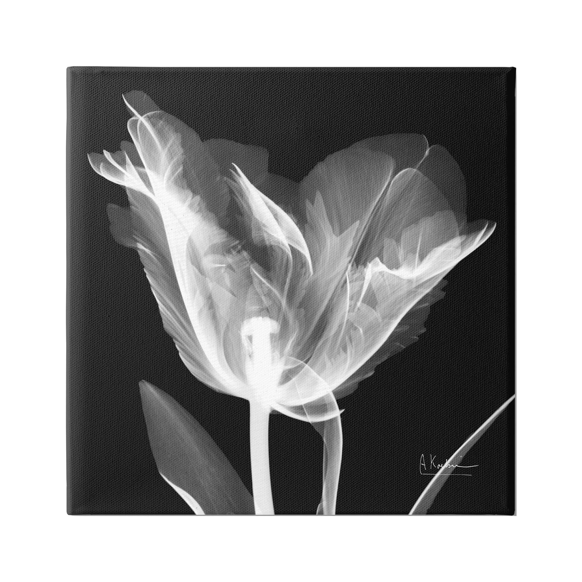 Black and White Tulip X-Ray Canvas Print Wall Art