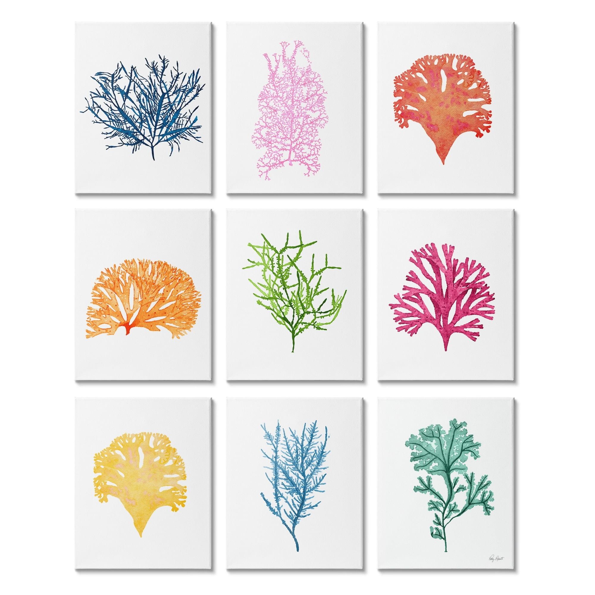 Stupell Industries Vibrant Various Coral Sea Ocean Life Types Graphic Art Gallery Wrapped Canvas Print Wall Art, Set of 9, Design by Patty Rybolt