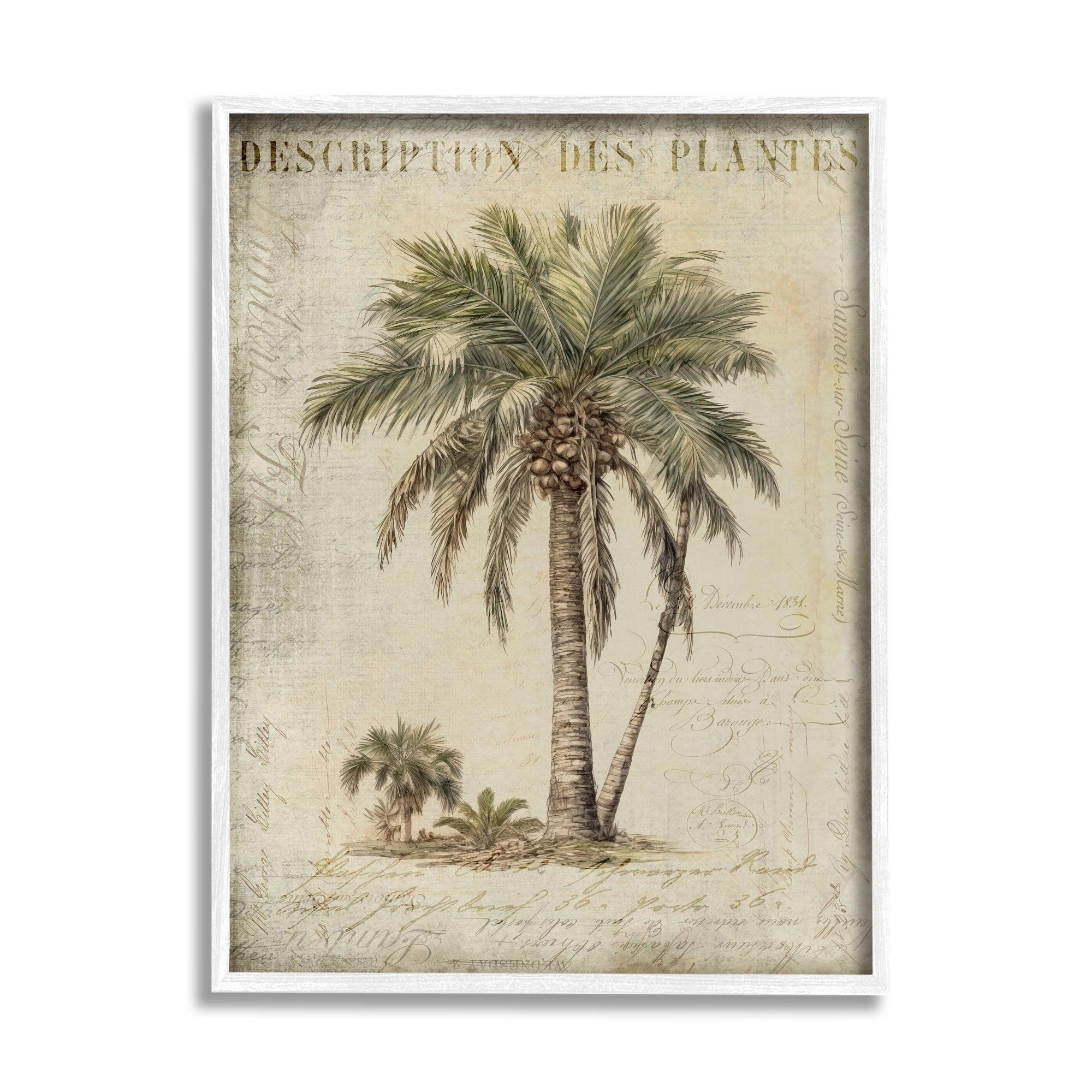 Stupell Industries Ba-008-Framed " Vintage Palm Tree Study " by Andrea Haase