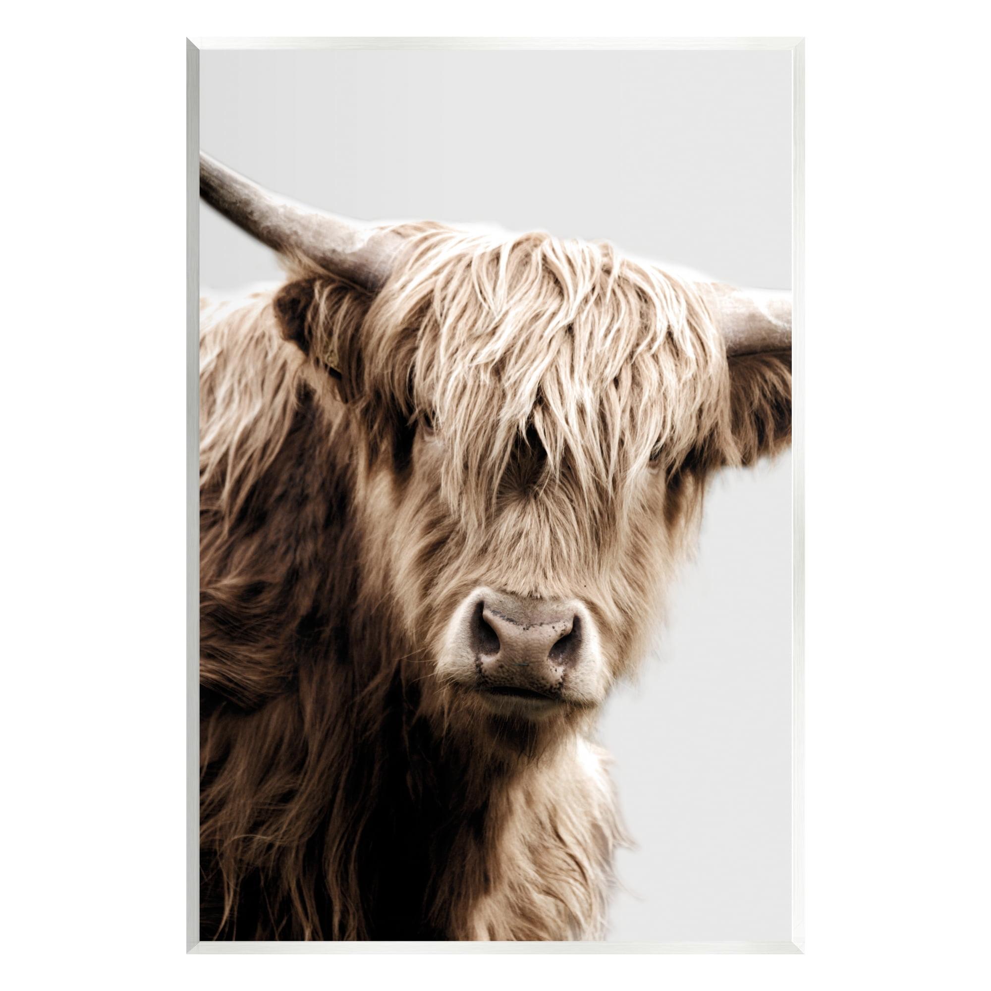 Wooly Cattle Portrait 10" x 15" MDF Wall Plaque