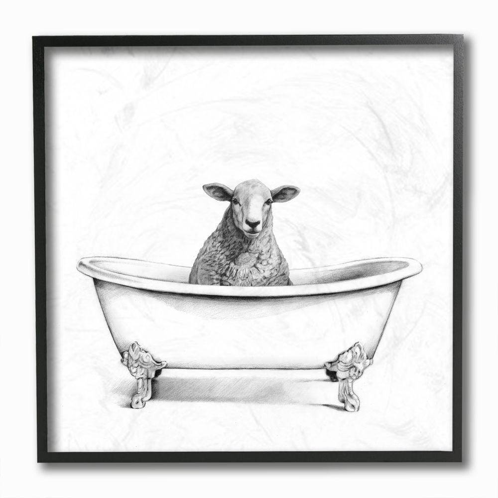 Wooly Sheep in Bathtub Black Framed Canvas Print, 12" x 12"