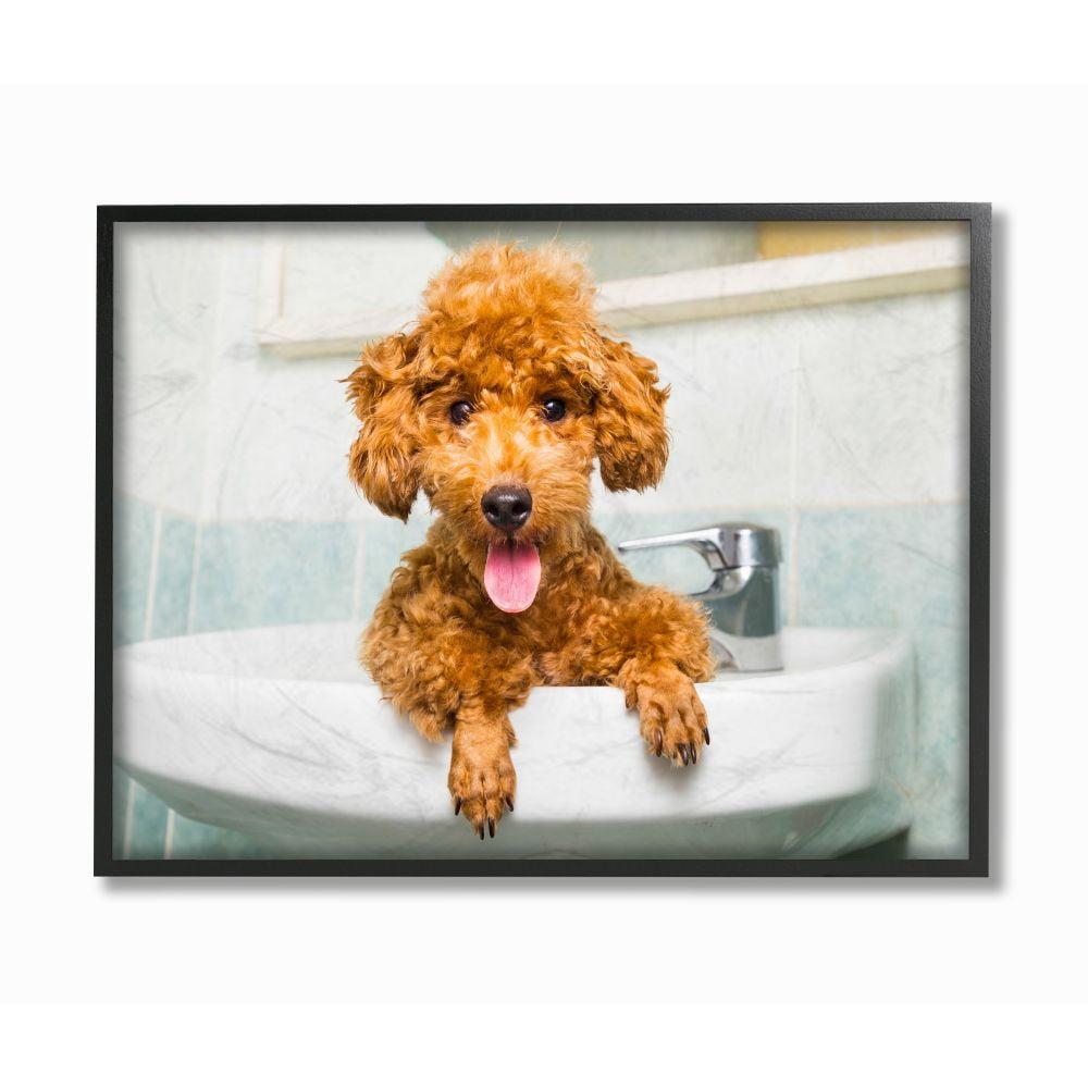 Goldendoodle Puppy Sink Playtime Framed Canvas Wall Art, 16 x 20