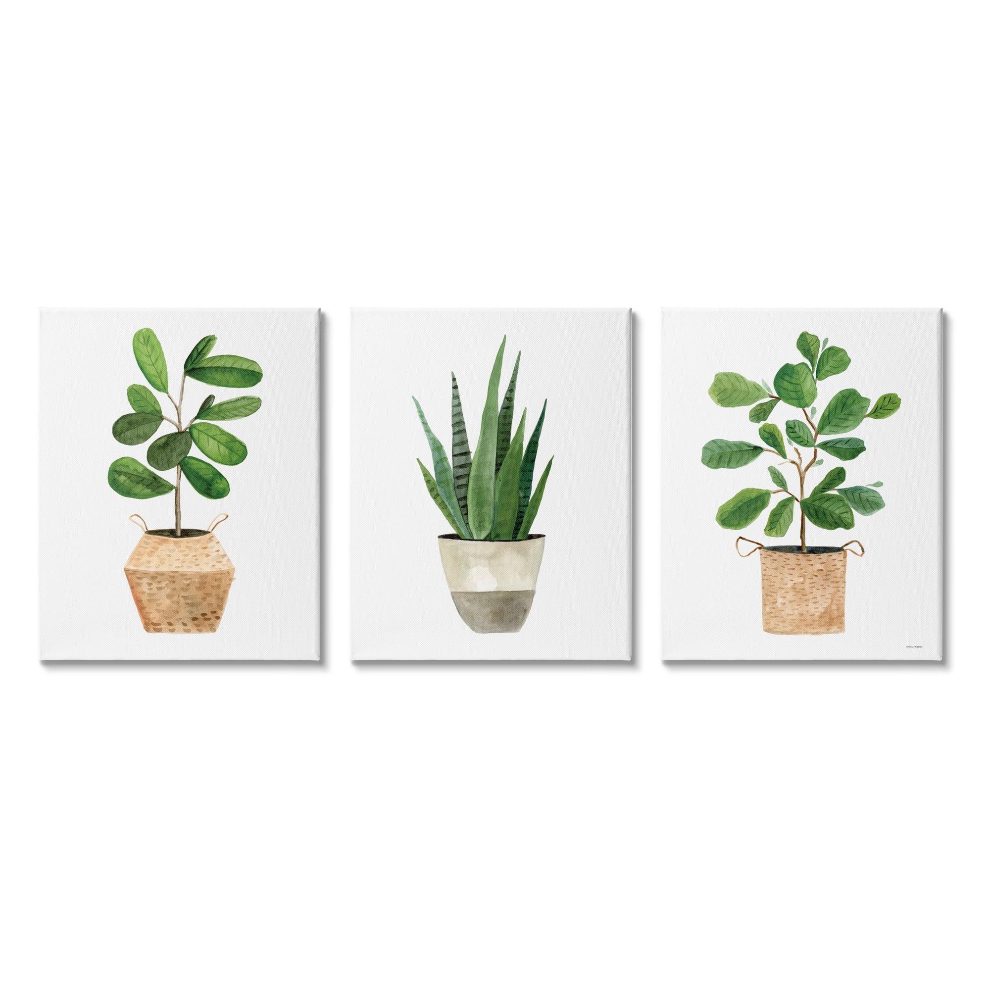 " Minimal Potted Plants Botanicals " by Rachel Nieman 3 - Pieces