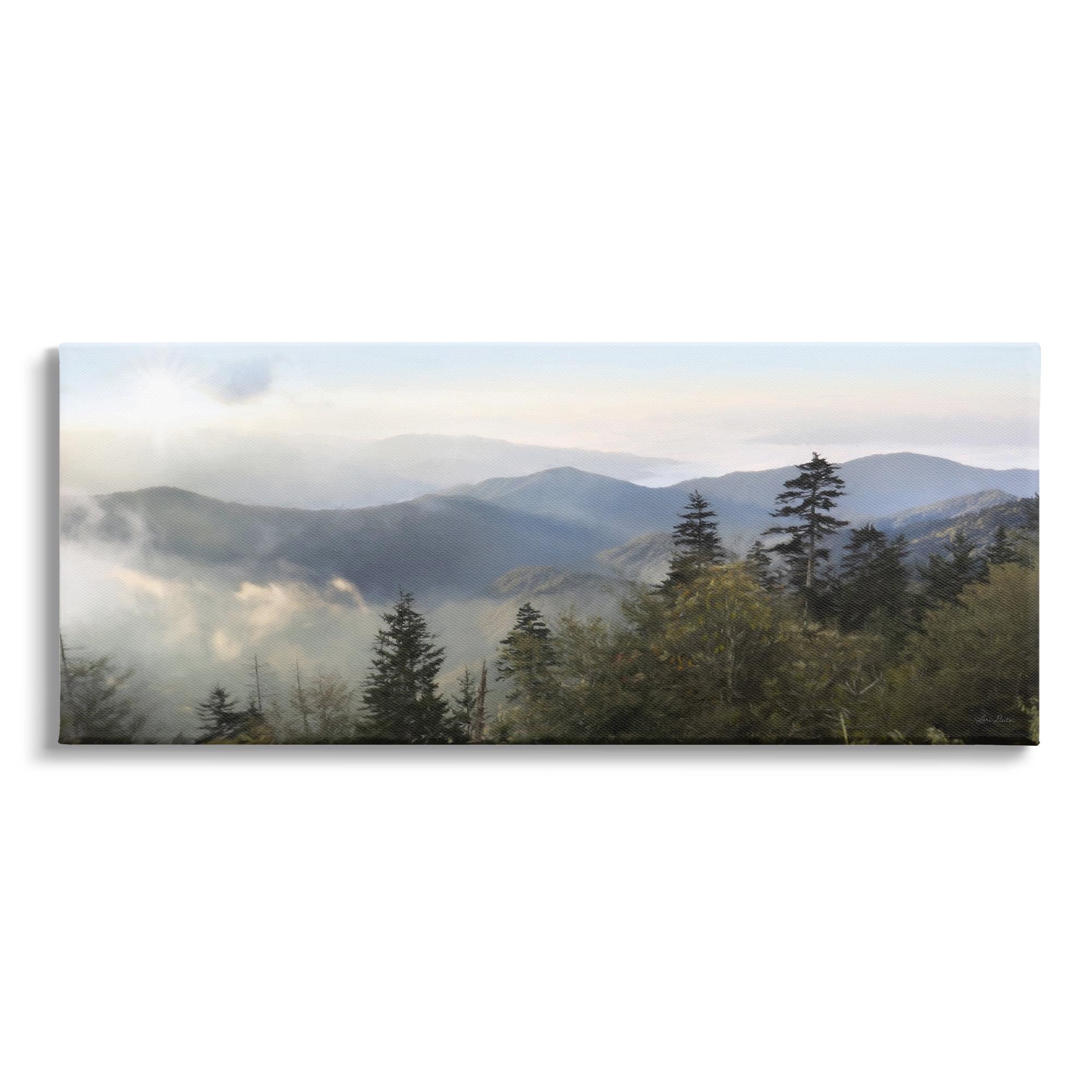 Panoramic Cloudy Mountain Landscape Canvas Print, 24" x 10"