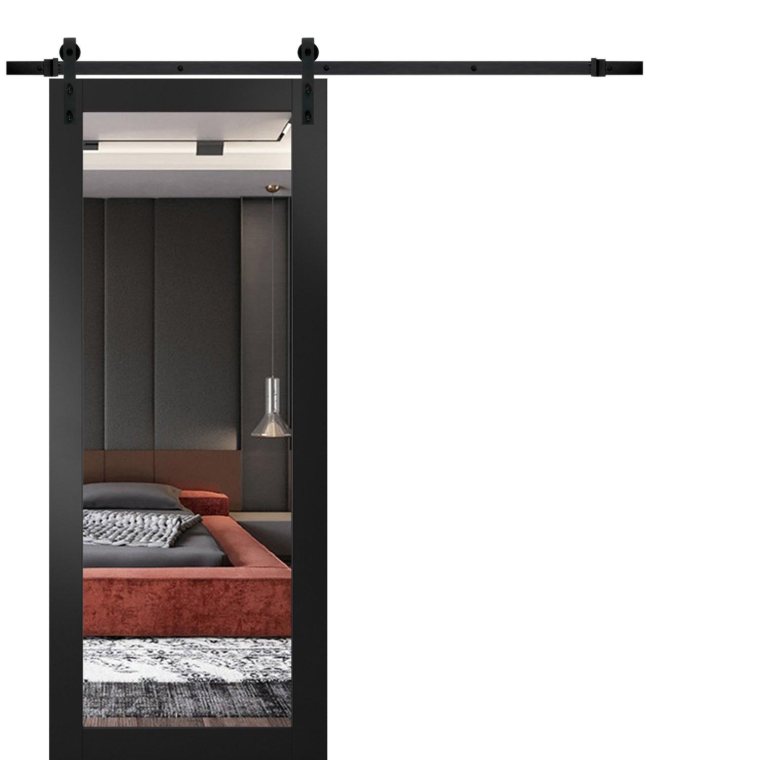 SARTODOORS Lucia Mirrored Glass Standard Black Door Slab