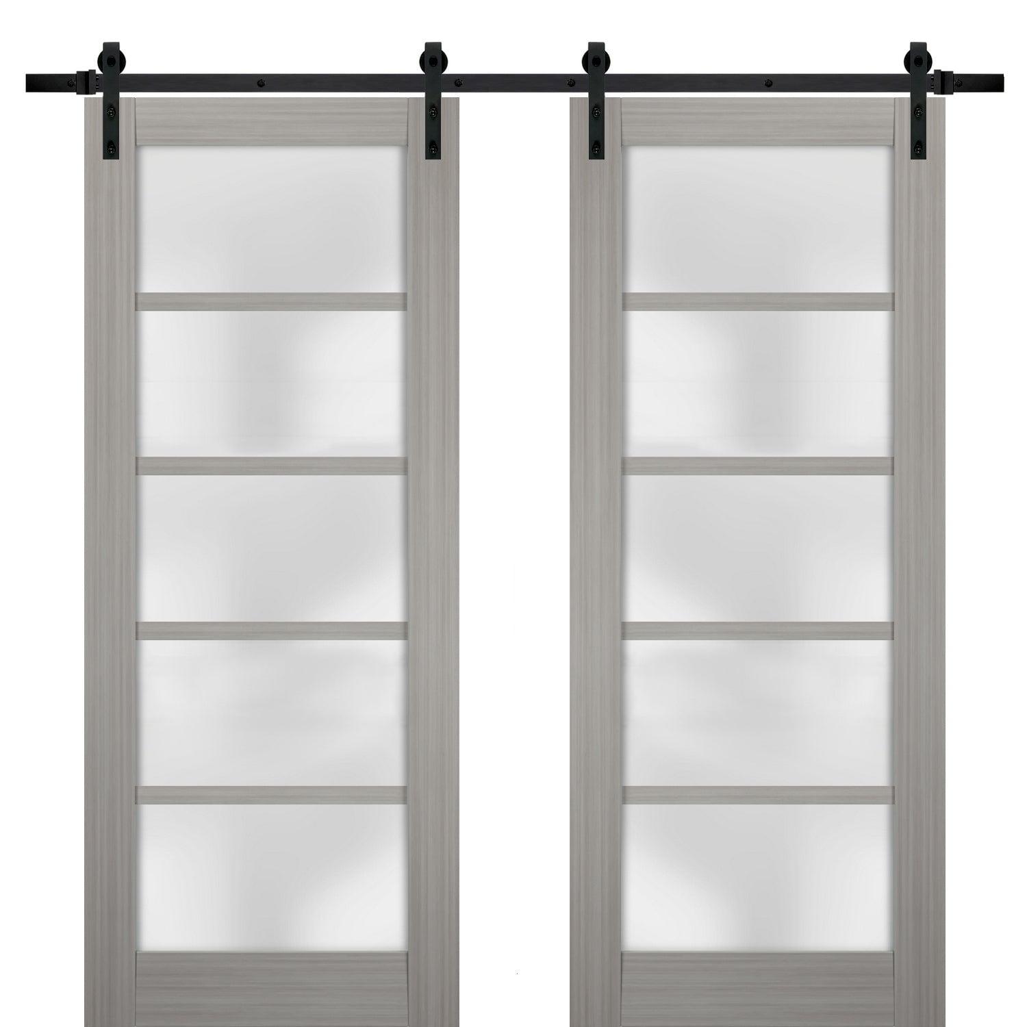 SARTODOORS Quadro Frosted Glass Barn Doors with Installation Hardware Kit