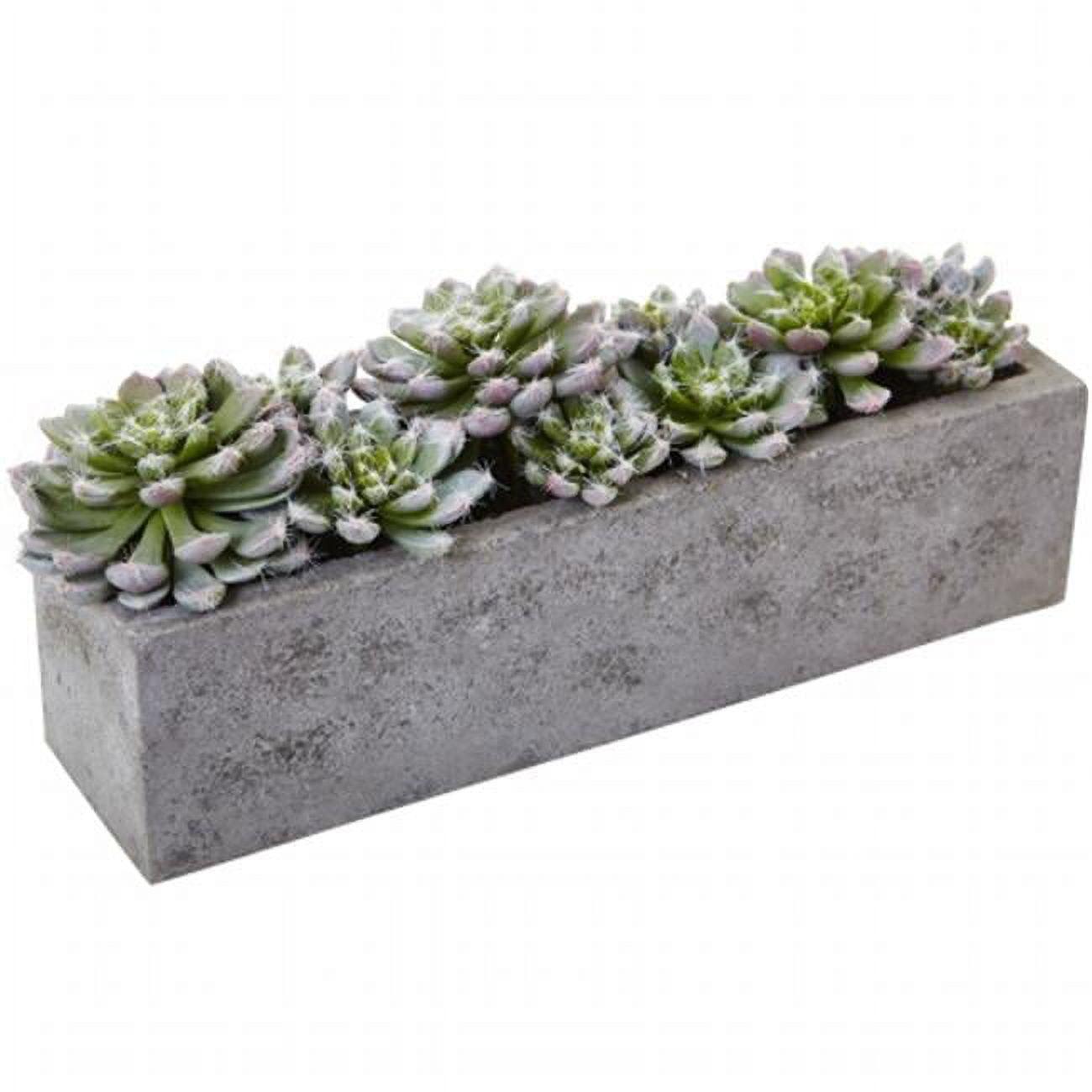 15" Green Succulent Garden with Textured Concrete Planter