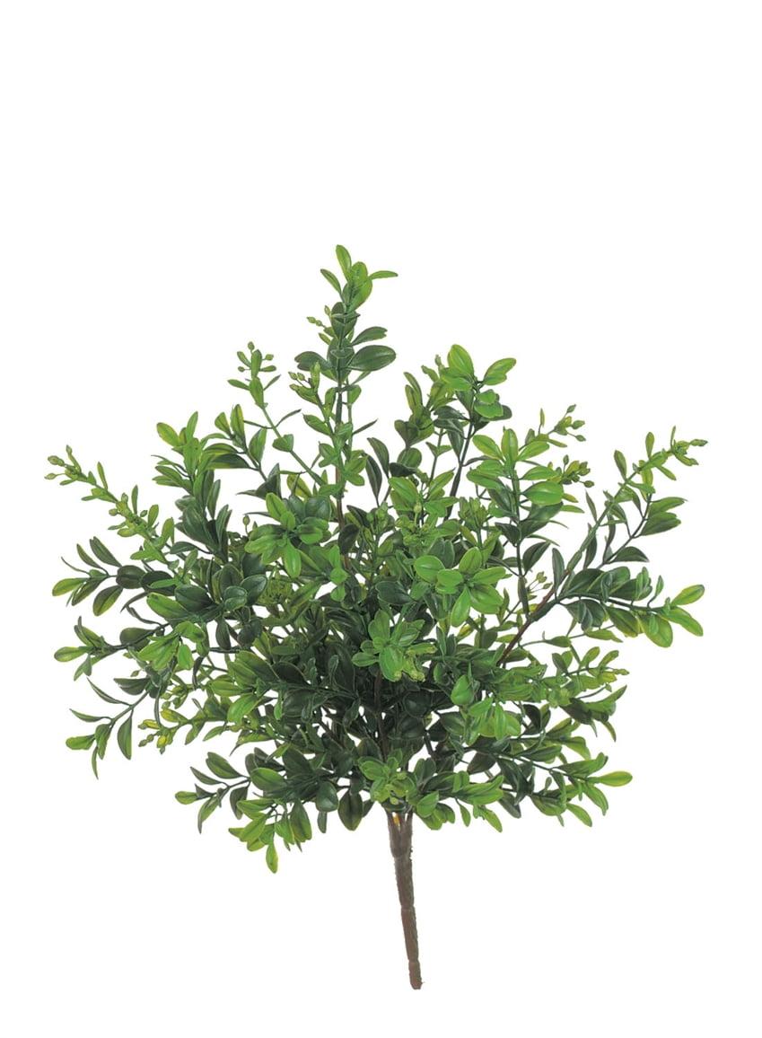 Eternal Green Boxwood Faux Plant Bundle 12" Outdoor Accent