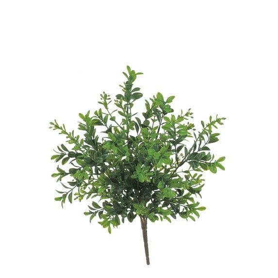 Sullivans Artificial Boxwood Plant 12"H Green