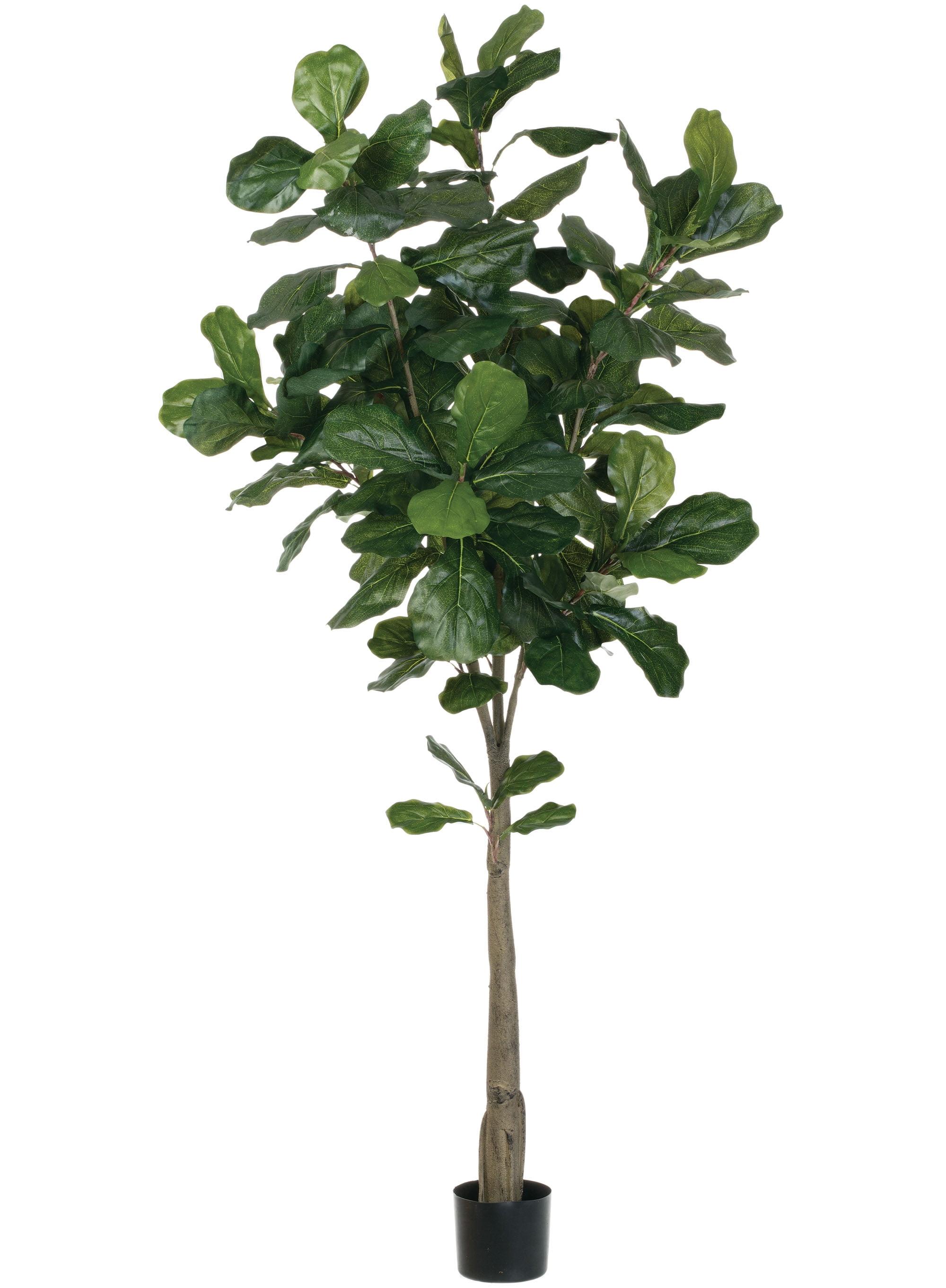 Sullivans Artificial 74" Fiddle Leaf Tree