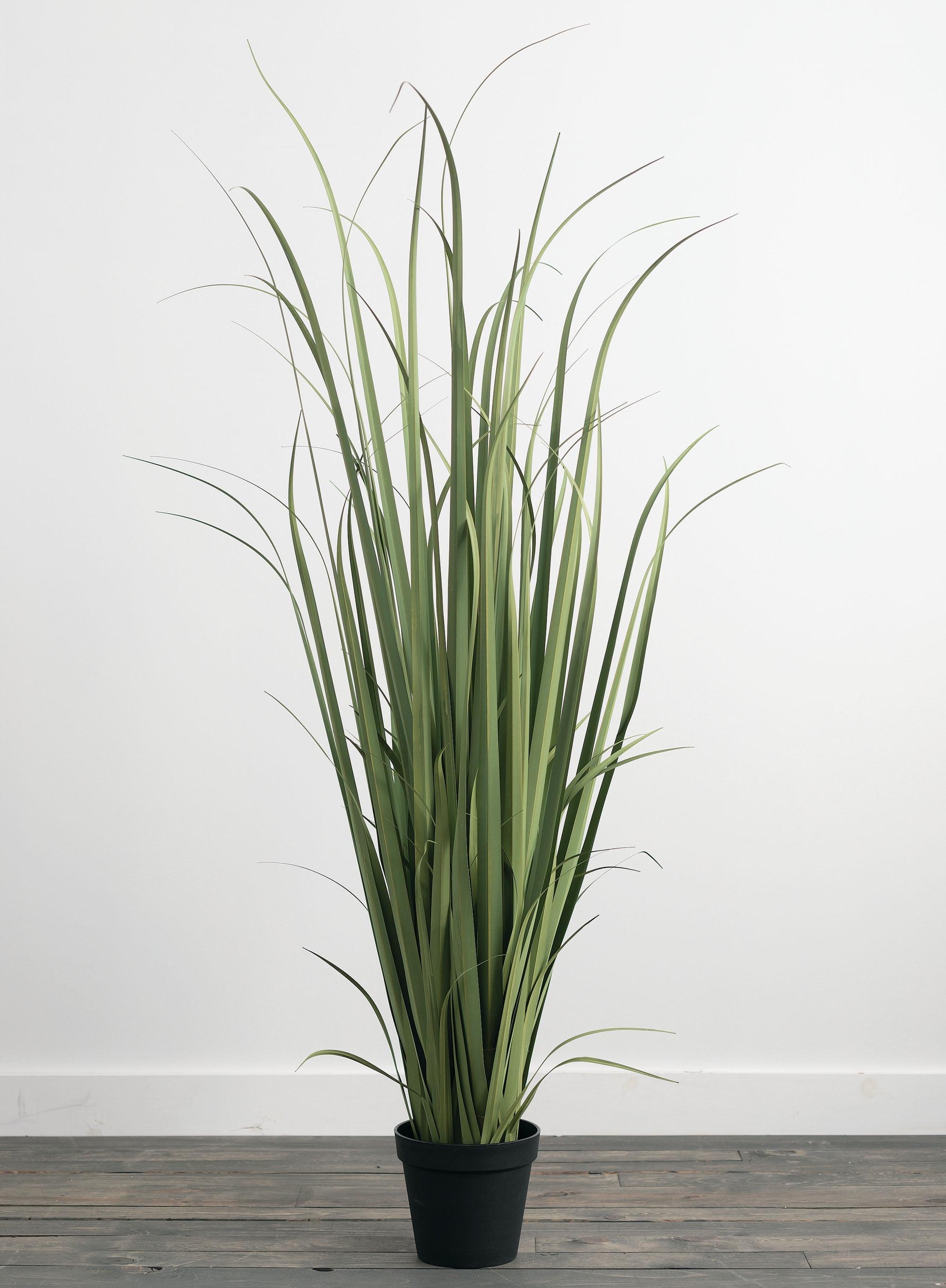 Tall Green Artificial Onion Grass in Black Pot