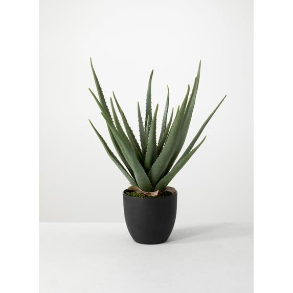 Sullivans Artificial 24" Potted Aloe Plant