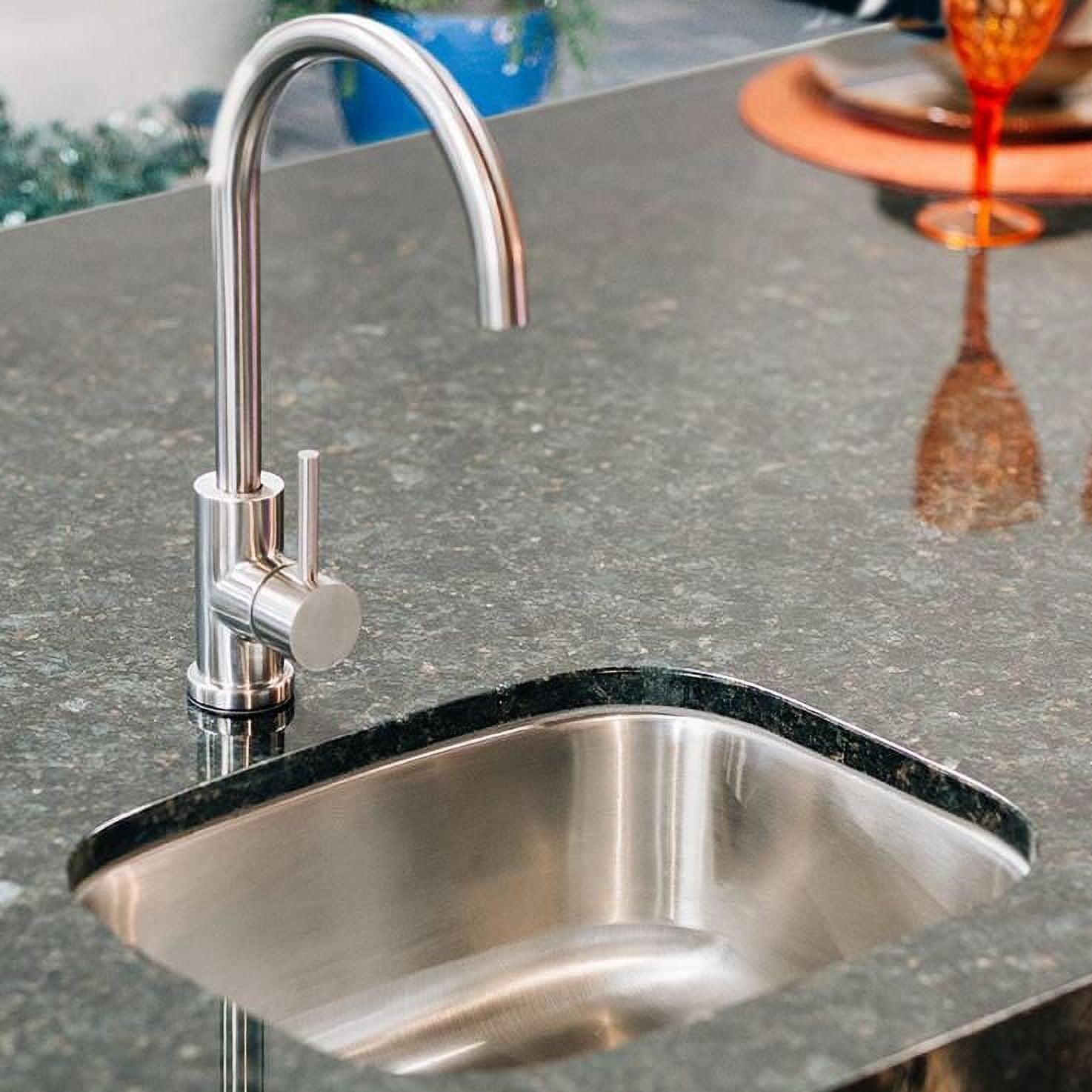 Summerset 19" Stainless Steel Undermount Sink with Gooseneck Faucet