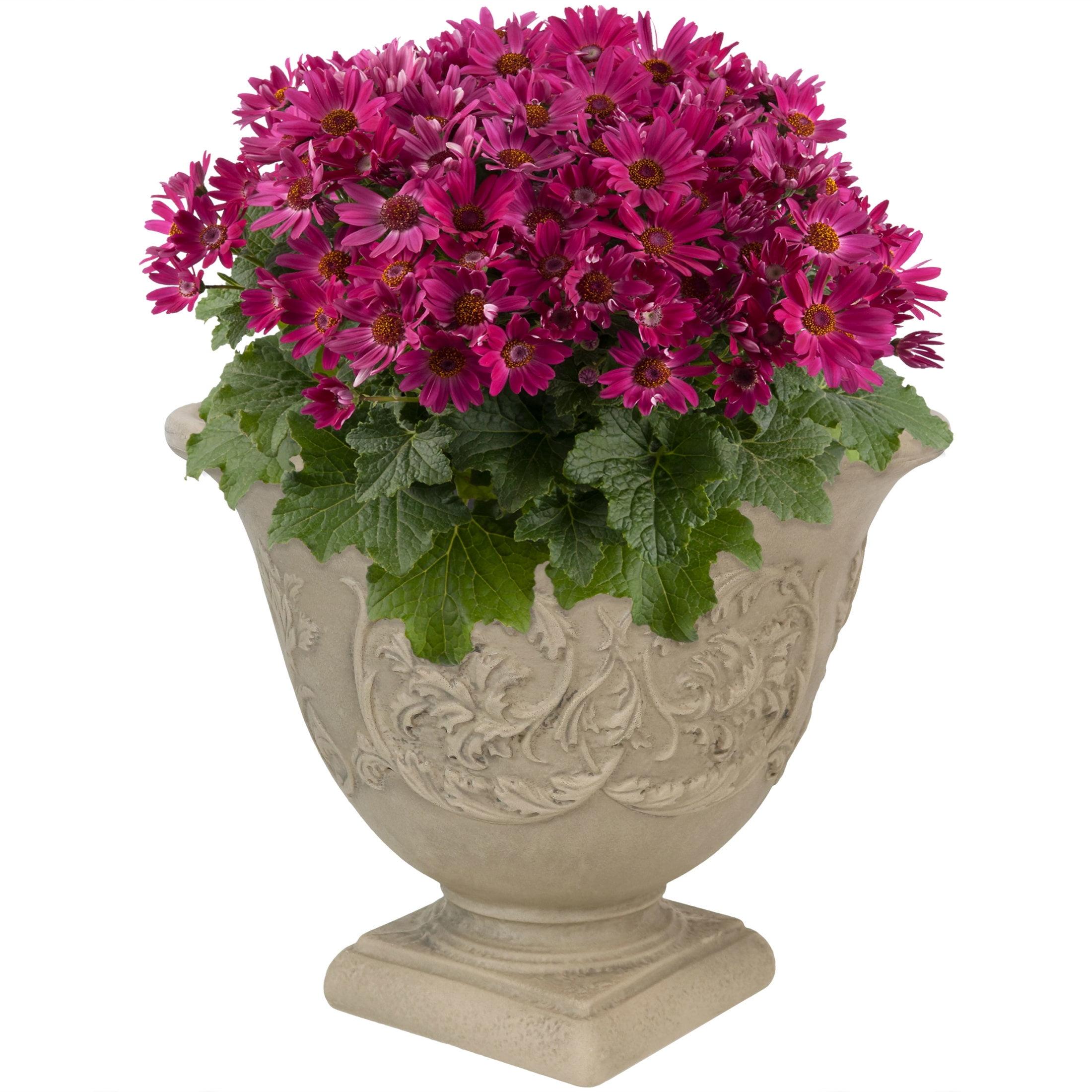 SunnyDaze Decor Darcy 16" x 16" x 13" Round Polyresin Urn Outdoor Planter Pot