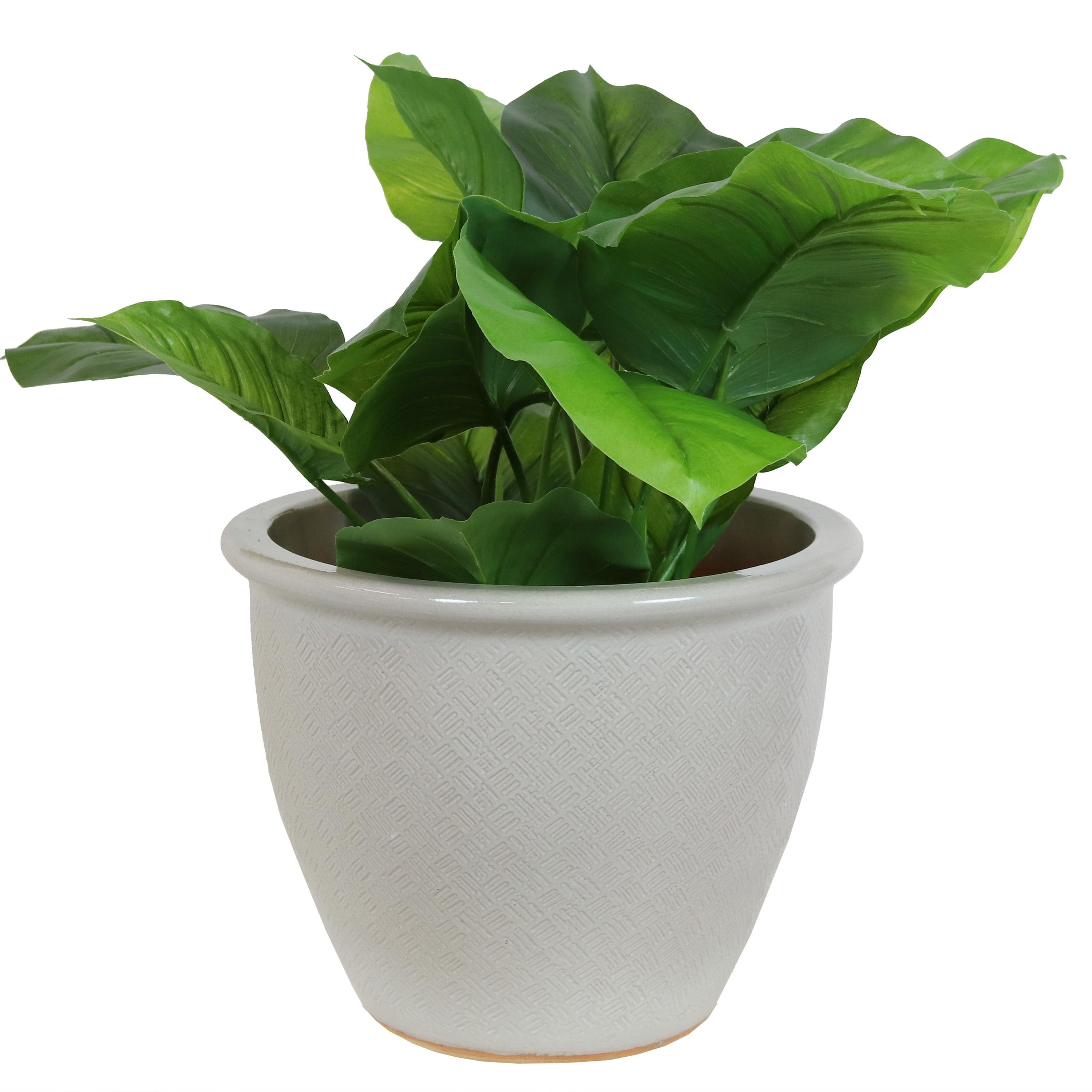 Pearl Finish Ocean Villa 15" Ceramic Planter with Drainage Holes