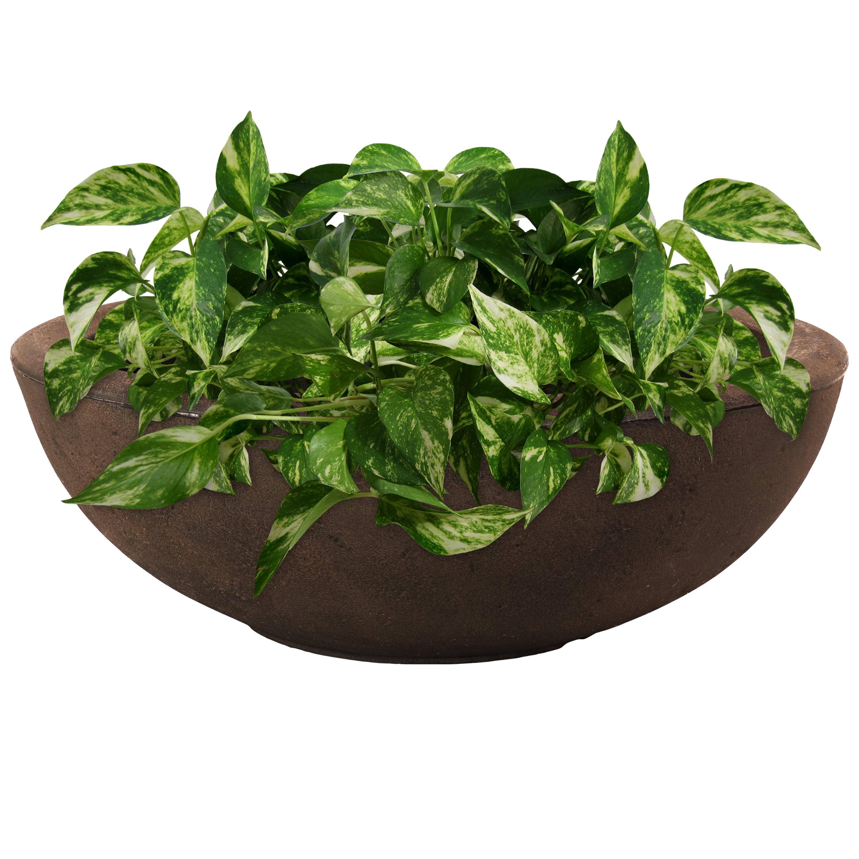 Percival 21" Sable Brown Polyresin Indoor/Outdoor Planter