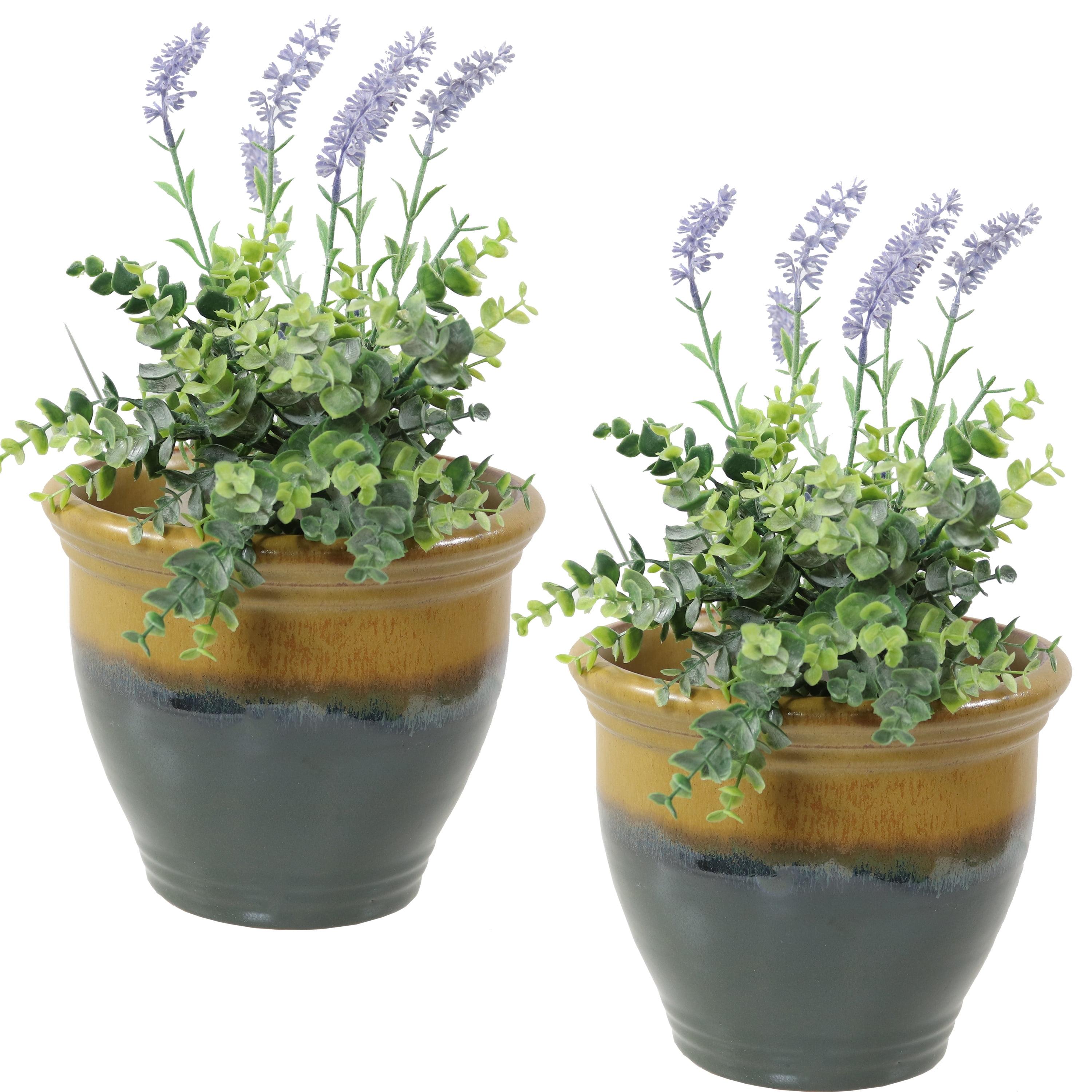 Sunnydaze Studio Outdoor/Indoor High-Fired Glazed UV- and Frost-Resistant Ceramic Planters with Drainage Holes