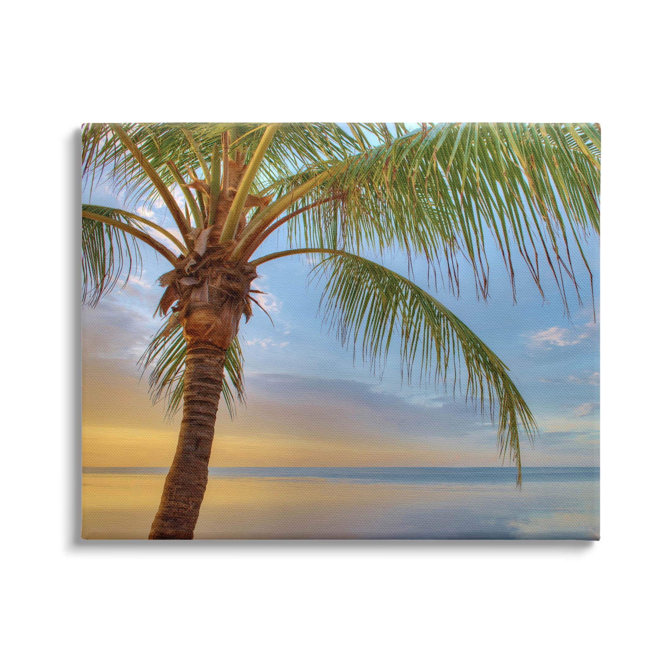 Sunrise Palm Tree Sky Reflection Canvas Wall Art