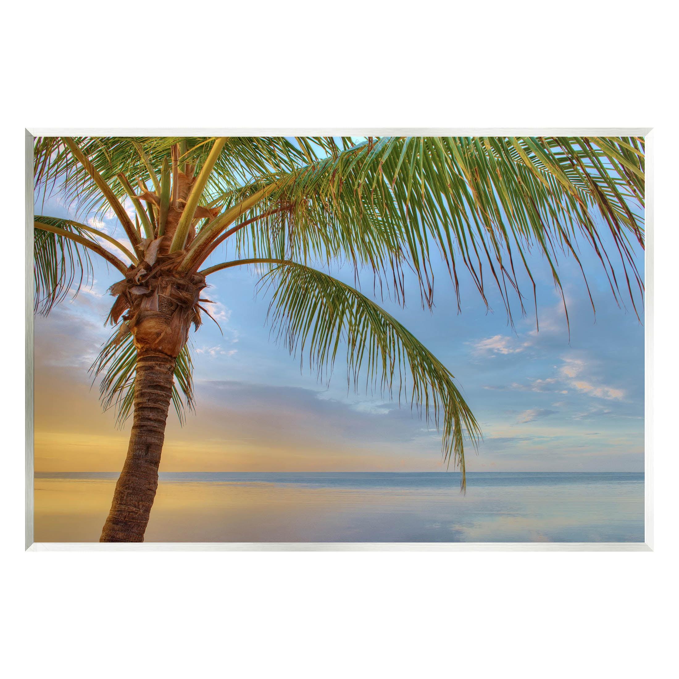 Stupell Industries " Sunrise Palm Tree Sky Reflection " by Jack Reed