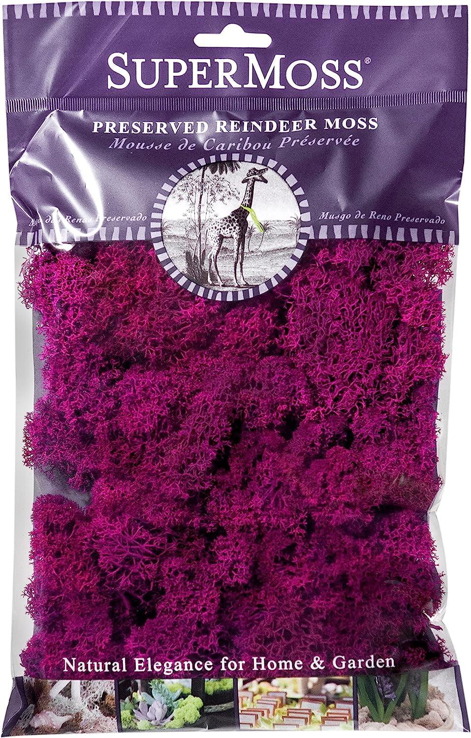 Super Moss  23164 Reindeer Moss Fuchsia, 2oz