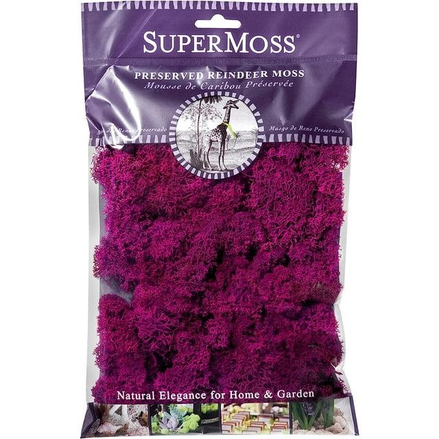 Super Moss  23164 Reindeer Moss Fuchsia, 2oz