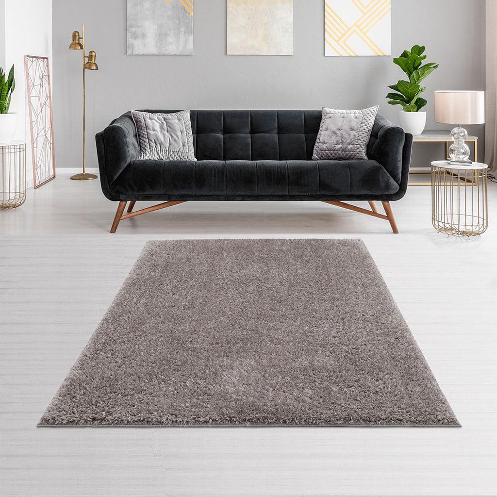 Camdyn Super Soft Machine Woven Shag Area Rug