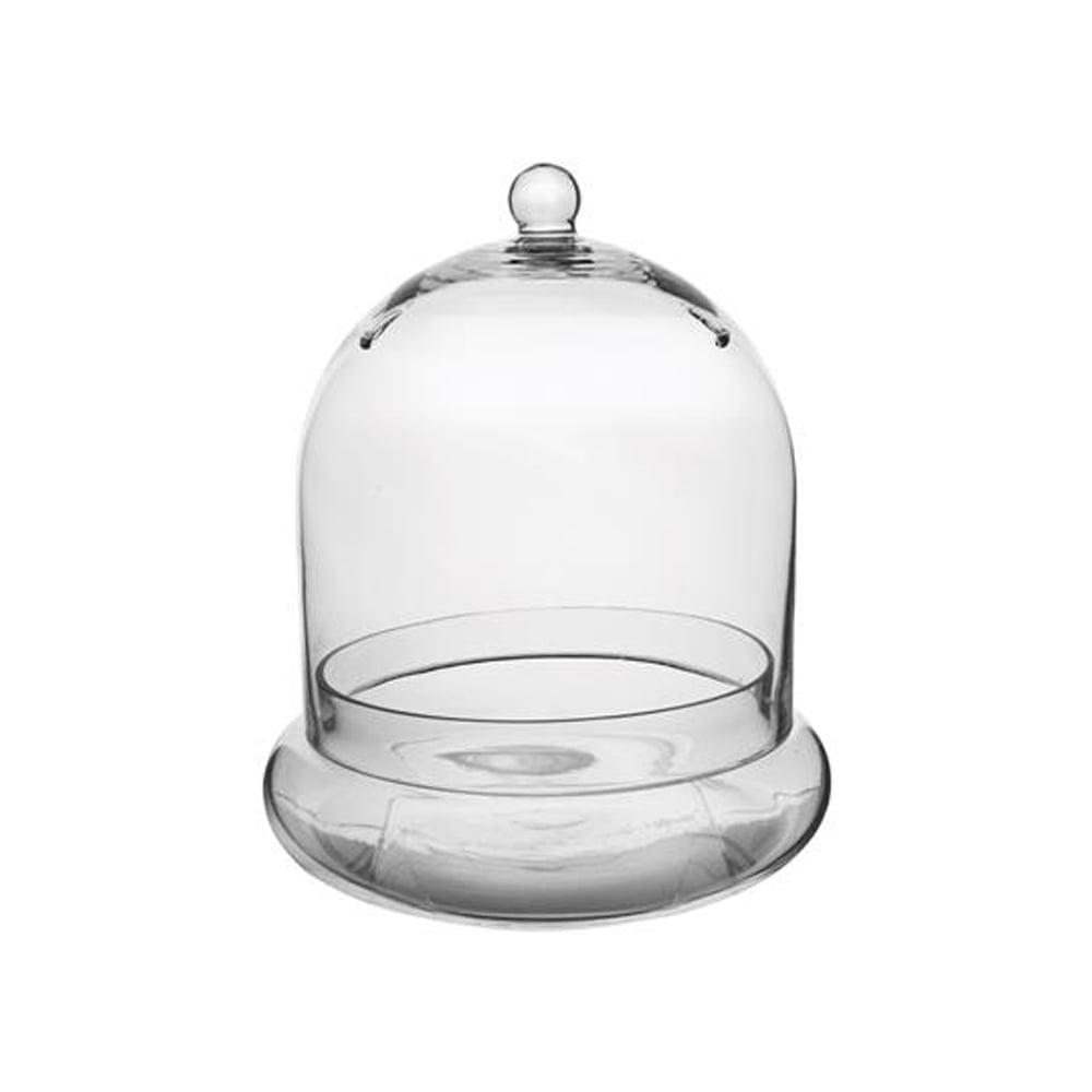 Large Clear Glass Terrarium Cloche with Air Holes