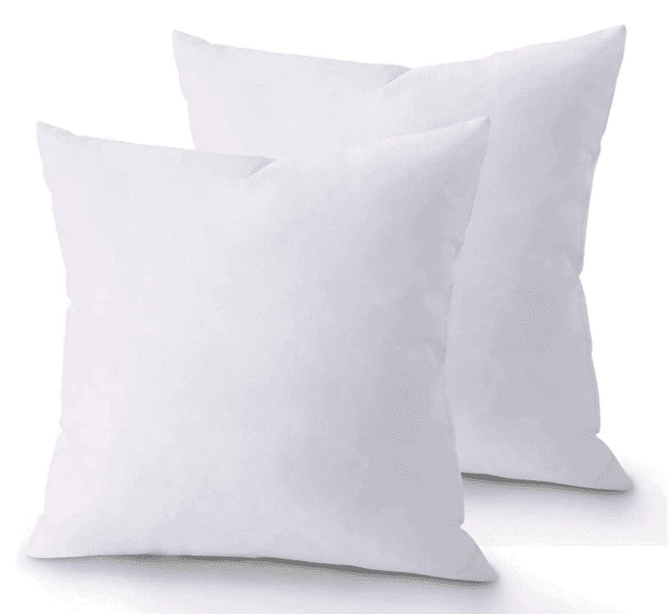 THROW PILLOW, SOFA PILLOW, OUT DOOR PILLOW, COUCH PILLOW, BEDDING PILLOW Inserts (Set of 2, White), 18x18 Inches - Lightweight Fillers for Sofa, Bed, and Home Décor (18x18 Inch (Pack of 2)