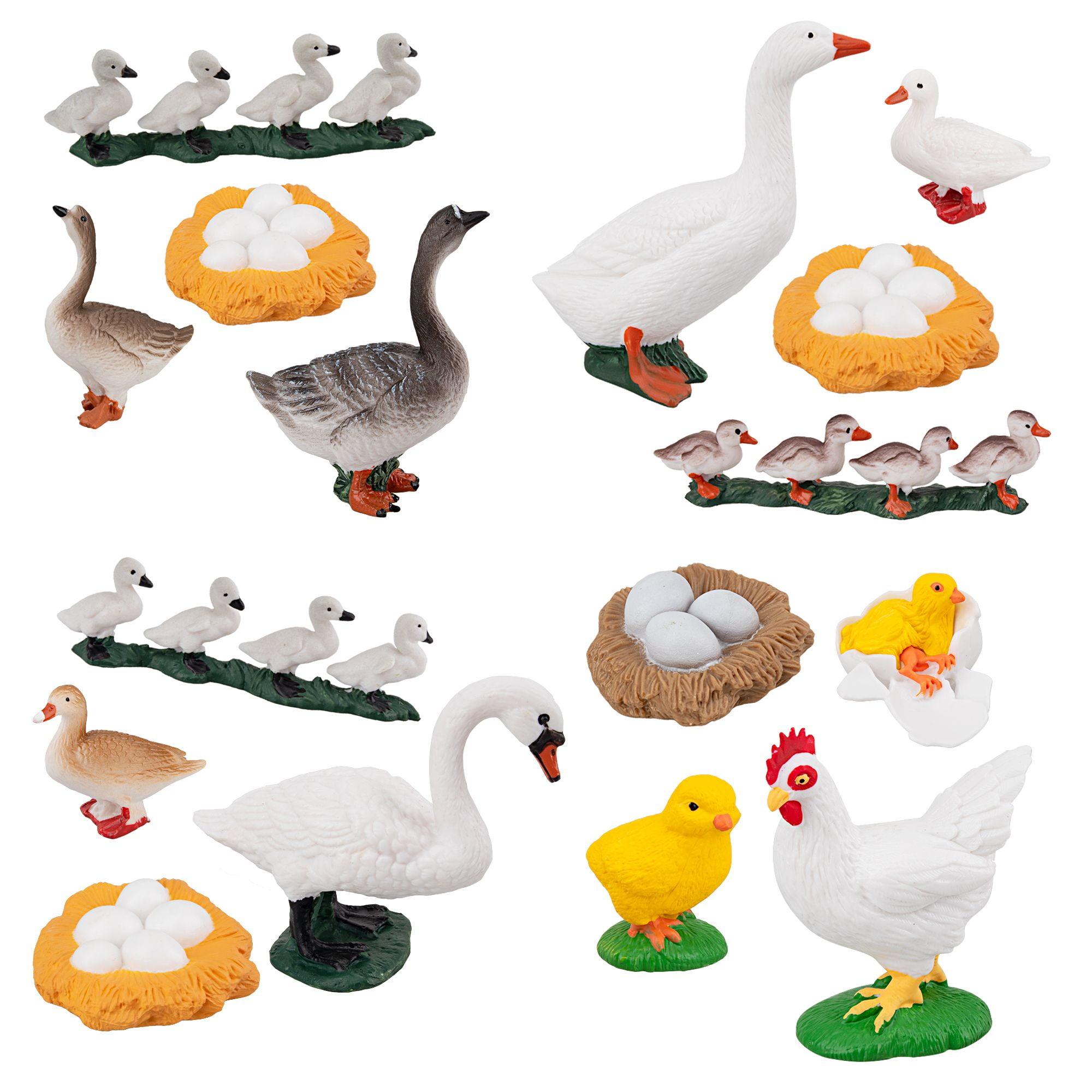 Toymany 16PCS Life Cycle of Goose White Swan Chicken Duck Farm Animals Figures, Plastic Safariology Growth Cycle Eggs Figurines Toy Kit School Project Cake Topper for Kids Toddlers