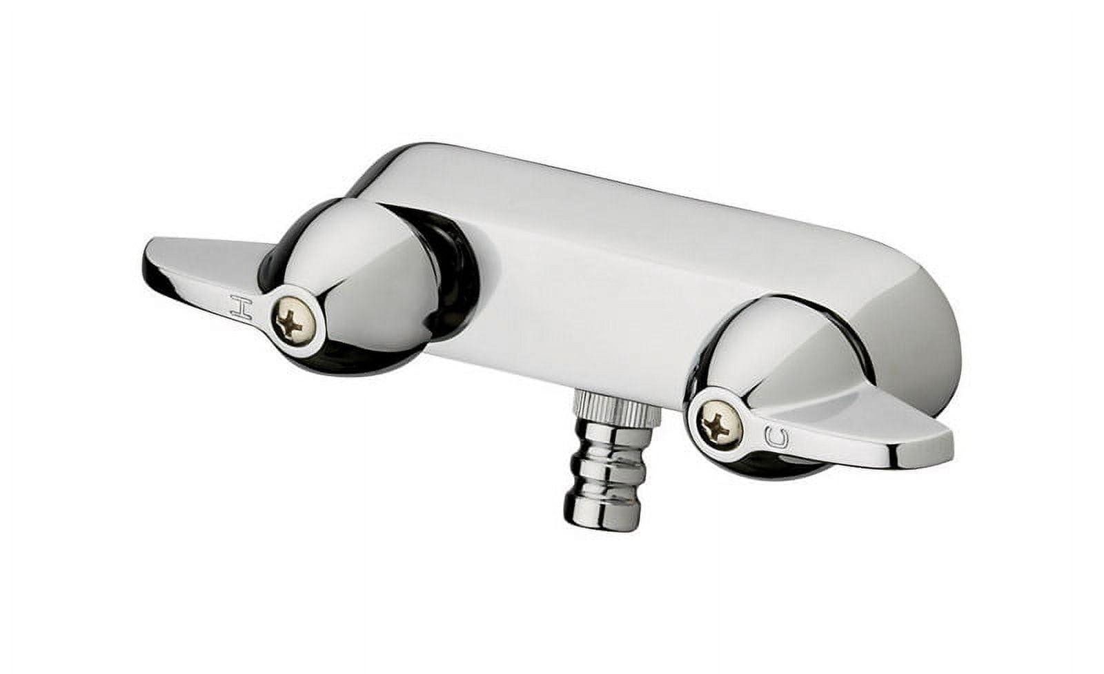 Wall Mounted Optional 2-handle Bathroom Faucet