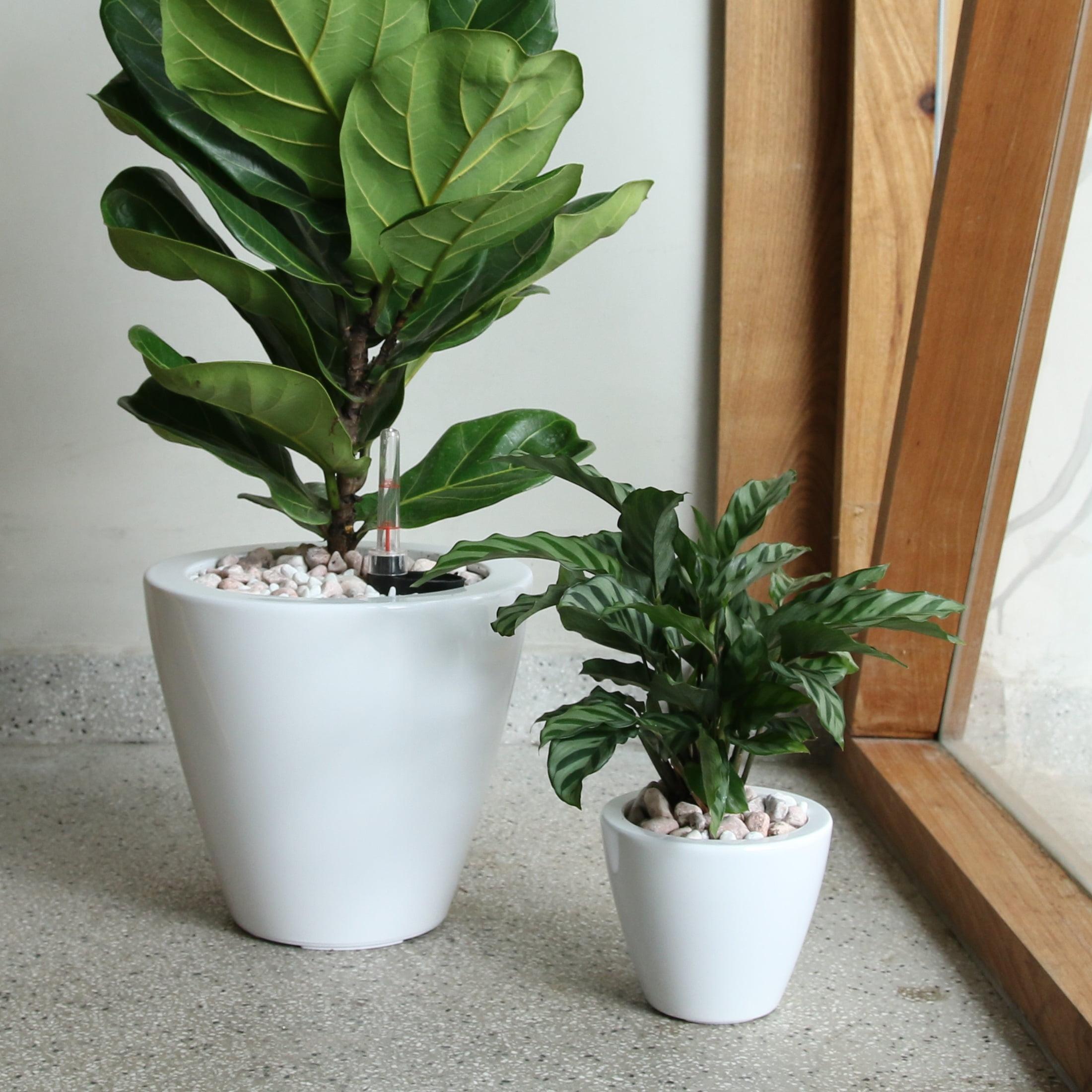 Eco-Friendly White Self-Watering Planter Pot Duo for Indoor & Outdoor