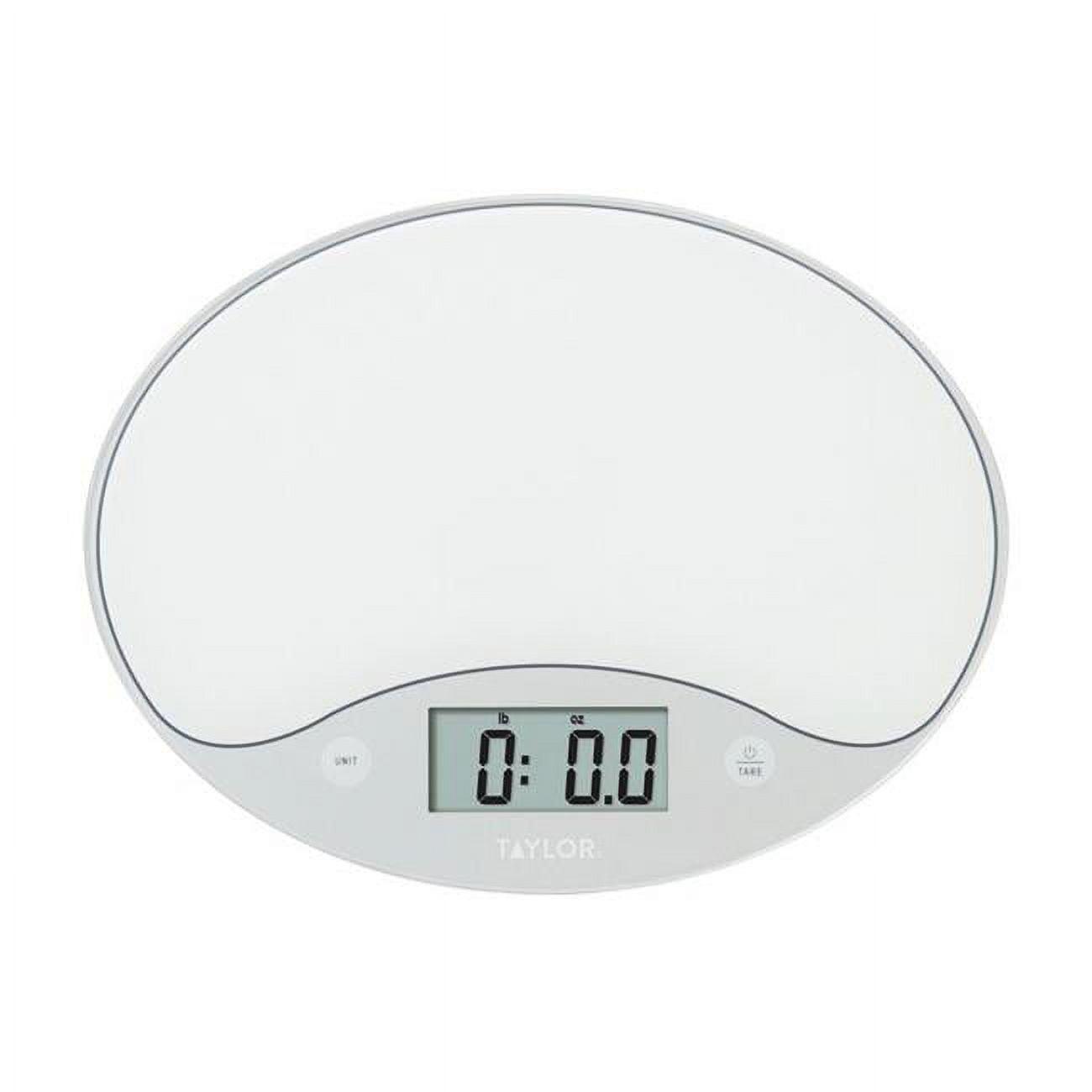 Taylor White Digital Glass Kitchen Scale with 11 lb Capacity