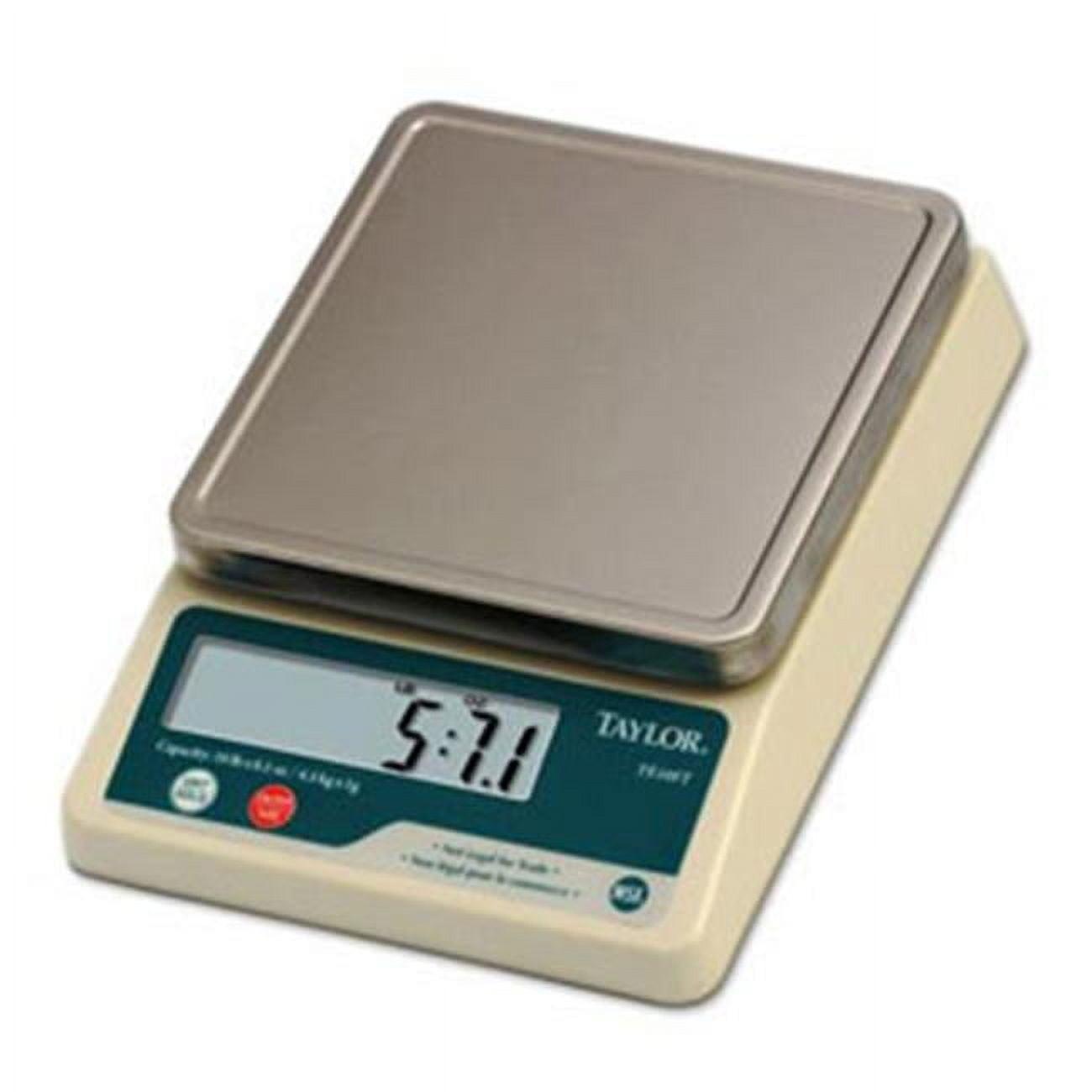 Taylor TE10FT Food Service 11-Pound Stainless Steel Digital Scale