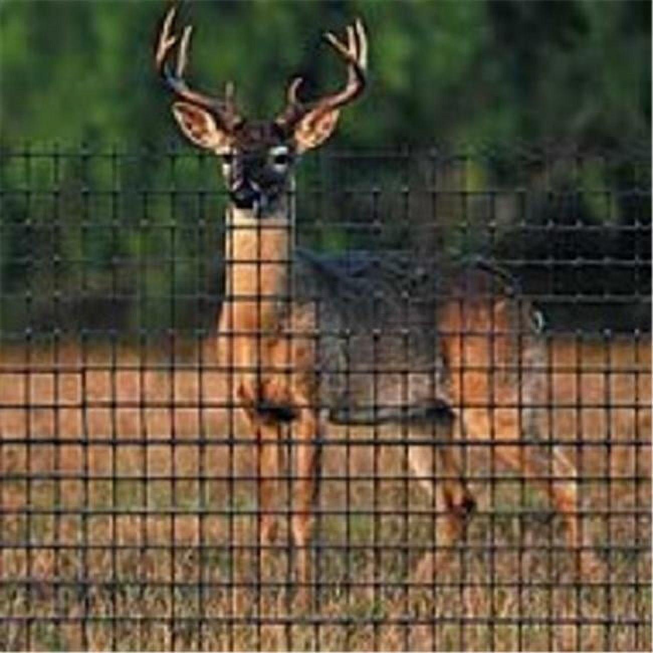 Tenax 7.5 ft x 100 ft Black UV-Stabilized Plastic Deer Fence