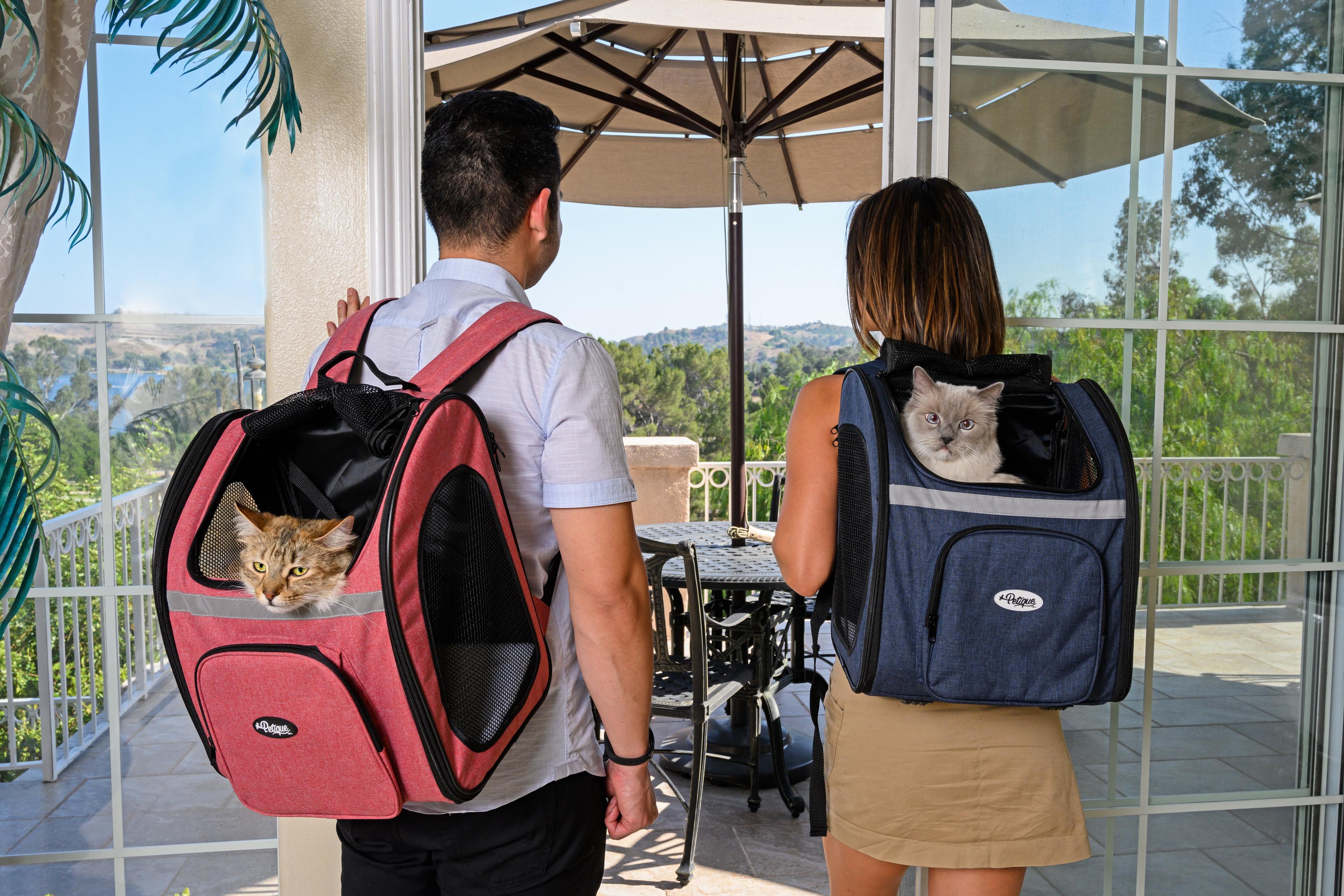 Petique Petique The Backpacker Pet Carrier