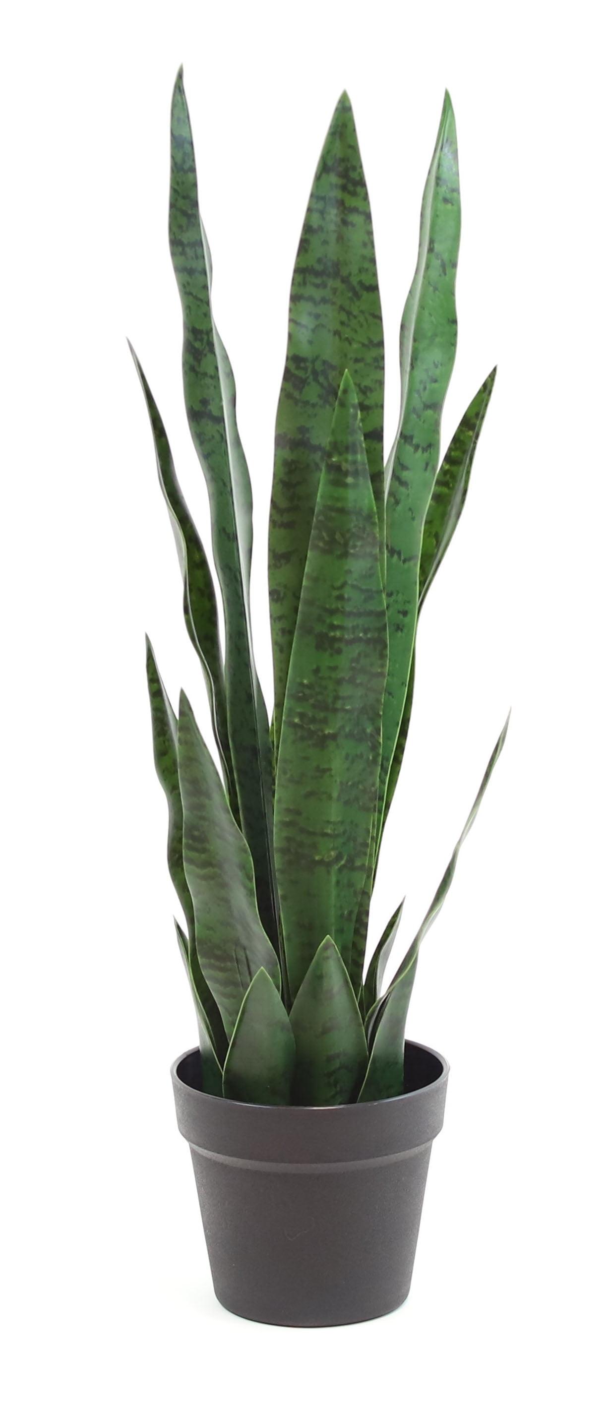 Faux Snake Plant (Sansevieria) Tree in Pot Liner