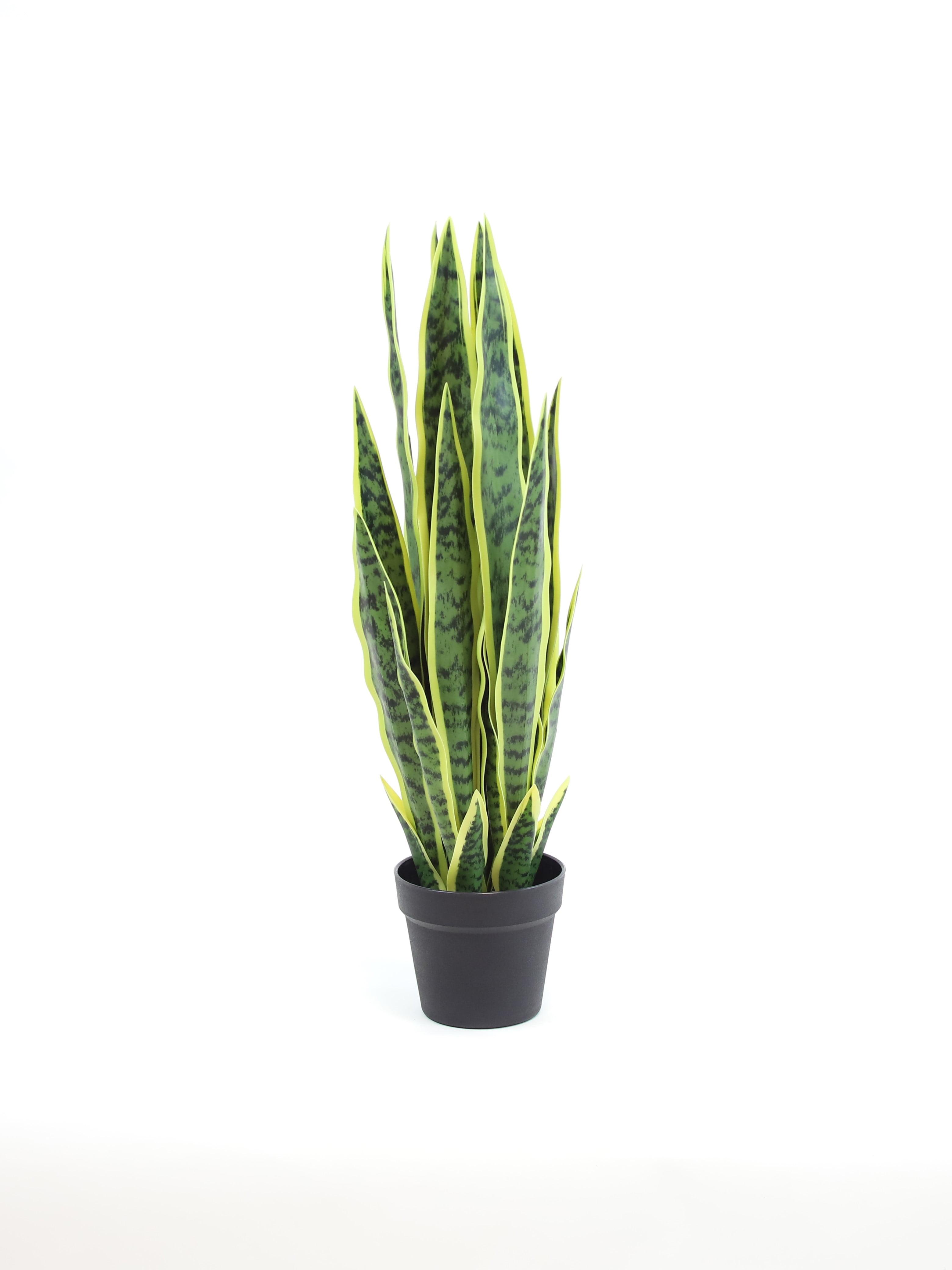 25" Artificial Green Snake Plant in Matte Black Pot