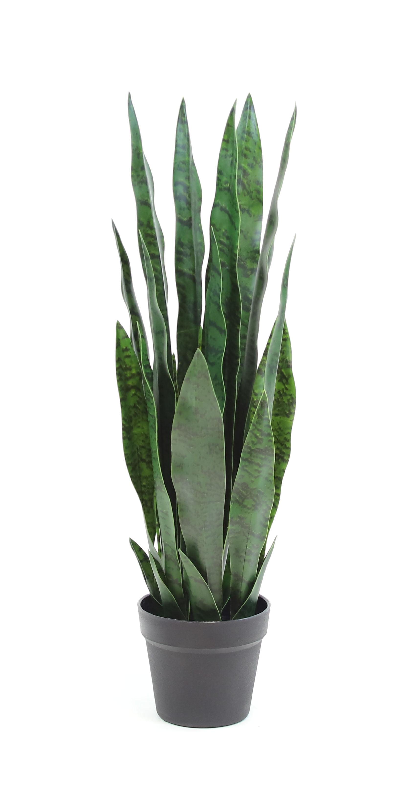 25" Green Silk Snake Plant in Black Pot