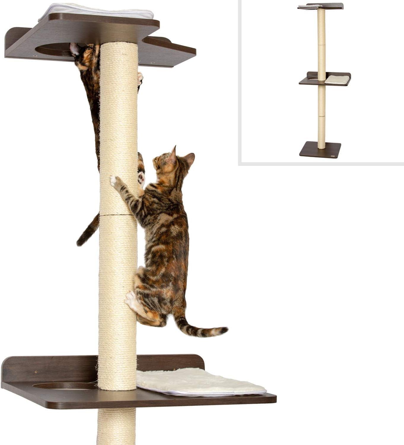 The Ultimate Cat Climber