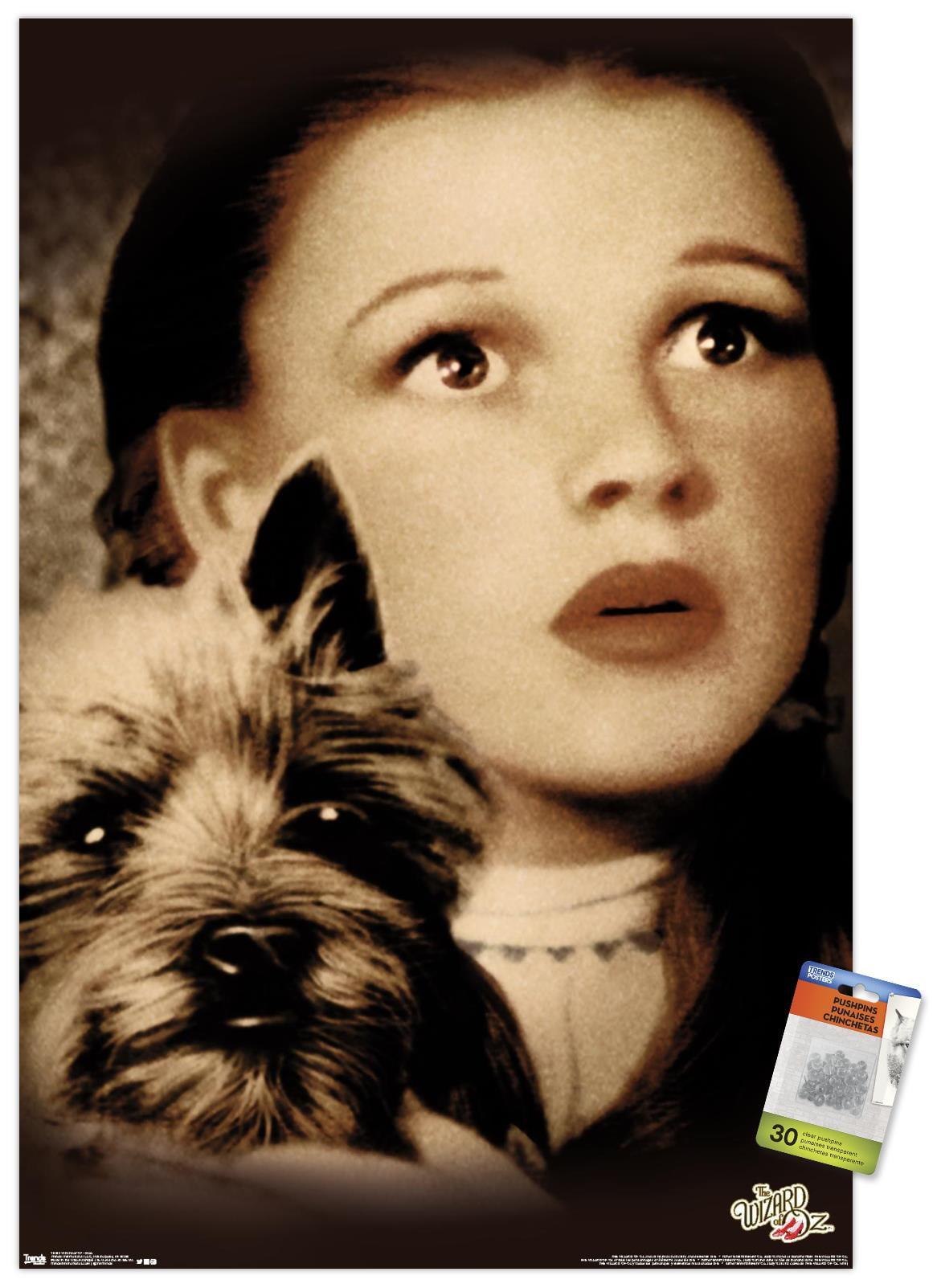 Trends International The Wizard Of Oz - Duo Unframed Wall Poster Print Clear Push Pins Bundle 22.375" x 34"