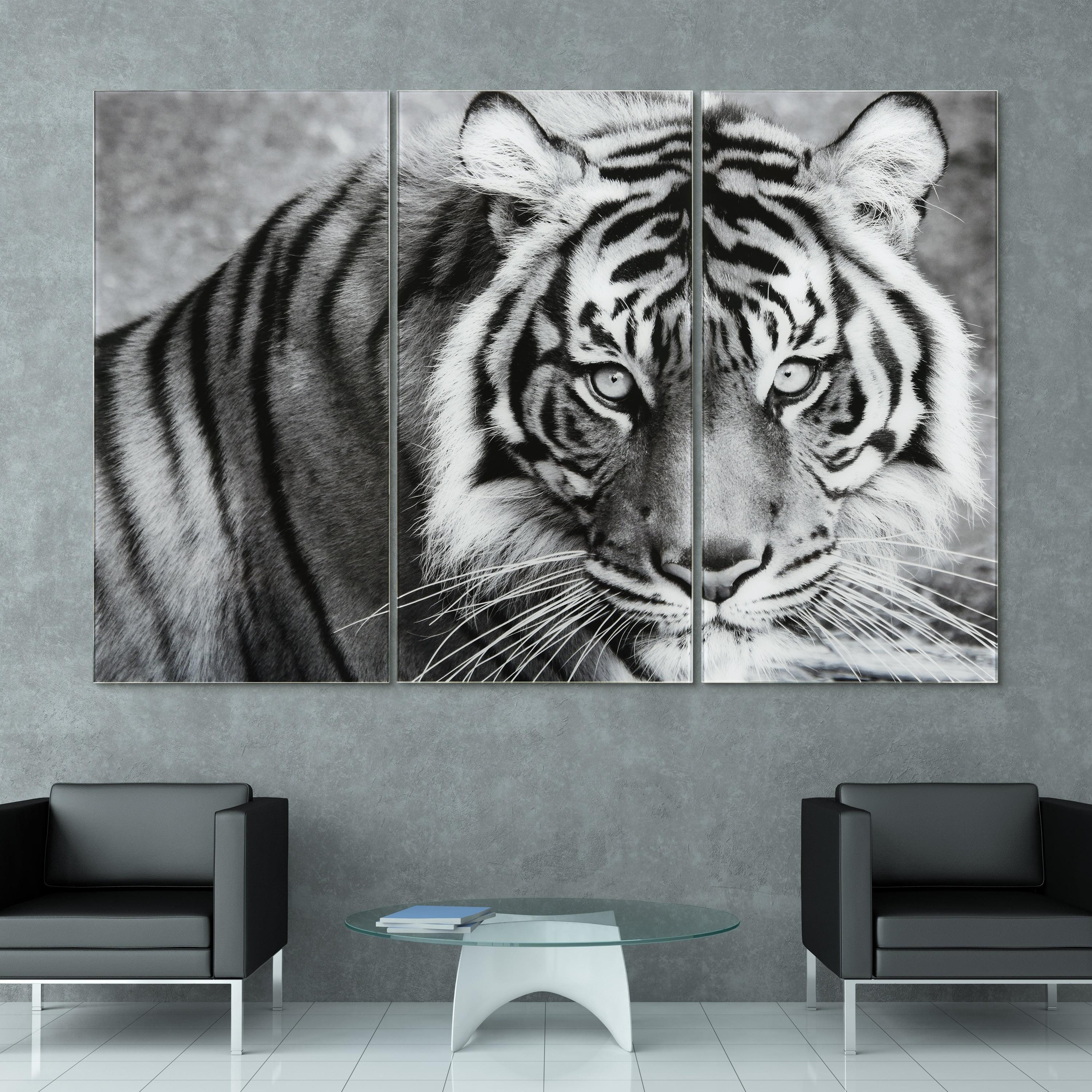 Empire Art Direct " Tiger ABC " 3 - Pieces